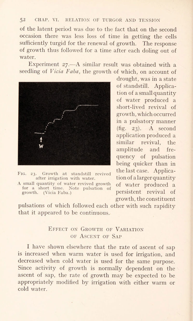 of the latent period was due to the fact that on the second occasion there was less loss of time in getting the cells sufficiently turgid for the renewal of growth. The response of growth thus followed for a time after each doling out of water. Experiment 27.—A similar result was obtained with a seedling of Vicia Faba, the growth of which, on account of drought, was in a state of standstill. Applica- tion of a small quantity of water produced a short-lived revival of growth, which occurred in a pulsatory manner (fig. 23). A second application produced a similar revival, the amplitude and fre- quency of pulsation being quicker than in the last case. Applica- tion of a larger quantity of water produced a persistent revival of growth, the constituent pulsations of which followed each other with such rapidity that it appeared to be continuous. Effect on Growth of Variation of Ascent of Sap I have shown elsewhere that the rate of ascent of sap is increased when warm water is used for irrigation, and decreased when cold water is used for the same purpose. Since activity of growth is normally dependent on the ascent of sap, the rate of growth may be expected to be appropriately modified by irrigation with either warm or cold water. \ • ■ y. . . ' pT; ' < •* l A:- y f V- Tj. T . . * * ' ' ( o’ - • * o' . » f ! , - w -o . , . _ /:'> 1 • , ■■ 's' Fig. 23. Growth at standstill revived after irrigation with water. A small quantity of water revived growth for a short time. Note pulsation of growth. (Vicia Faba.)