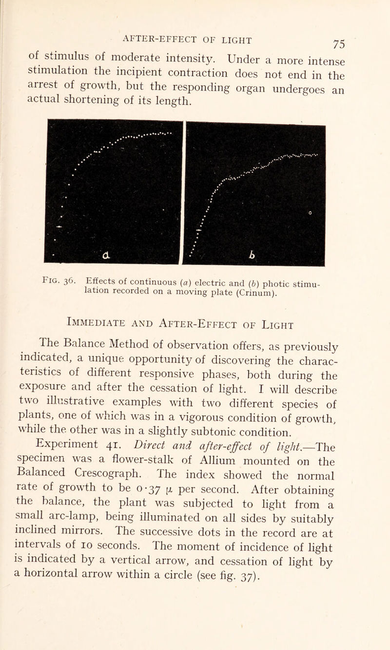 of stimulus of moderate intensity. Under a more intense stimulation the incipient contraction does not end in the arrest of growth, but the responding organ undergoes an actual shortening of its length. Fig. 36. Effects of continuous (a) electric and (b) photic stimu- lation recorded on a moving plate (Crinum). Immediate and After-Effect of Light The Balance Method of observation offers, as previously indicated, a unique opportunity of discovering the charac- teristics of different responsive phases, both during the exposure and after the cessation of light. I will describe two illustrative examples with two different species of plants, one of which was in a vigorous condition of growth, while the other was in a slightly subtonic condition. Experiment 41. Direct and after-effect of light.—The specimen was a flower-stalk of Allium mounted on the Balanced Crescograph. The index showed the normal rate of growdh to be 0-37 p per second. After obtaining the balance, the plant was subjected to light from a small arc-lamp, being illuminated on all sides by suitably inclined mirrors. The successive dots in the record are at intervals of 10 seconds. The moment of incidence of light is indicated by a vertical arrow, and cessation of light by a horizontal arrow within a circle (see fig. 37).