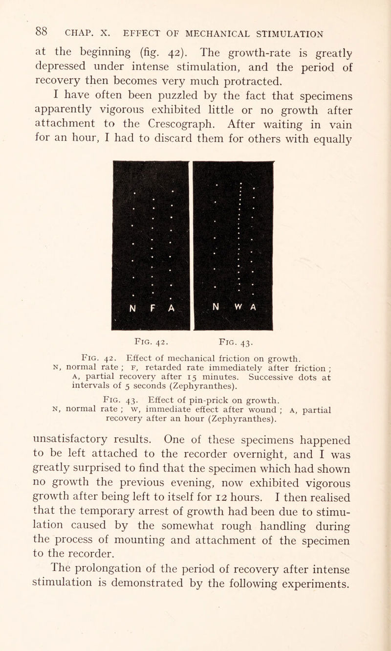 at the beginning (fig. 42). The growth-rate is greatly depressed under intense stimulation, and the period of recovery then becomes very much protracted. I have often been puzzled by the fact that specimens apparently vigorous exhibited little or no growth after attachment to the Crescograph. After waiting in vain for an hour, I had to discard them for others with equally Fig. 42. Fig. 43. Fig. 42. Effect of mechanical friction on growth. n, normal rate ; f, retarded rate immediately after friction ; a, partial recovery after 15 minutes. Successive dots at intervals of 5 seconds (Zephyranthes). Fig. 43. Effect of pin-prick on growth. n, normal rate ; w, immediate effect after wound ; a, partial recovery after an hour (Zephyranthes). unsatisfactory results. One of these specimens happened to be left attached to the recorder overnight, and I was greatly surprised to find that the specimen which had shown no growth the previous evening, now exhibited vigorous growth after being left to itself for 12 hours. I then realised that the temporary arrest of growth had been due to stimu- lation caused by the somewhat rough handling during the process of mounting and attachment of the specimen to the recorder. The prolongation of the period of recovery after intense stimulation is demonstrated by the following experiments.