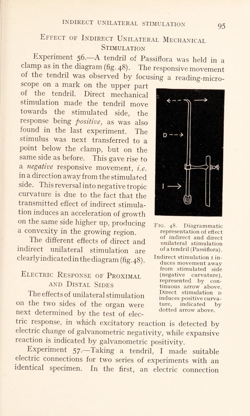 95 Ellect oe Indirect Unilateral Mechanical Stimulation Experiment 56.—A tendril of Passiflora was held in a clamp as in the diagram (fig. 48). The responsive movement of the tendril was observed by focusing a reading-micro- scope on a mark on the upper part of the tendril. Direct mechanical stimulation made the tendril move towards the stimulated side, the response being positive, as was also found in the last experiment. The stimulus was next transferred to a point below the clamp, but on the same side as before. This gave rise to a negative responsive movement, i.e. in a direction away from the stimulated side. This reversal into negative tropic curvature is due to the fact that the transmitted effect of indirect stimula- tion induces an acceleration of growth on the same side higher up, producing a convexity in the growing region. The different effects of direct and indirect unilateral stimulation are Fig. 48. Diagrammatic representation of effect of indirect and direct unilateral stimulation of a tendril (Passiflora). clearly indicated in the diagram (fig.48). Electric Response of Proximal and Distal Sides The effects of unilateral stimulation on the two sides of the organ were next determined by the test of elec- Indirect stimulation i in- duces movement away from stimulated side (negative curvature), represented by con- tinuous arrow above. Direct stimulation d induces positive curva- ture, indicated by dotted arrow above. trie response, in which excitatory reaction is detected by electric change of galvanometric negativity, while expansive reaction is indicated by galvanometric positivity. Experiment 57.—Taking a tendril, I made suitable electric connections for two series of experiments with an identical specimen. In the first, an electric connection