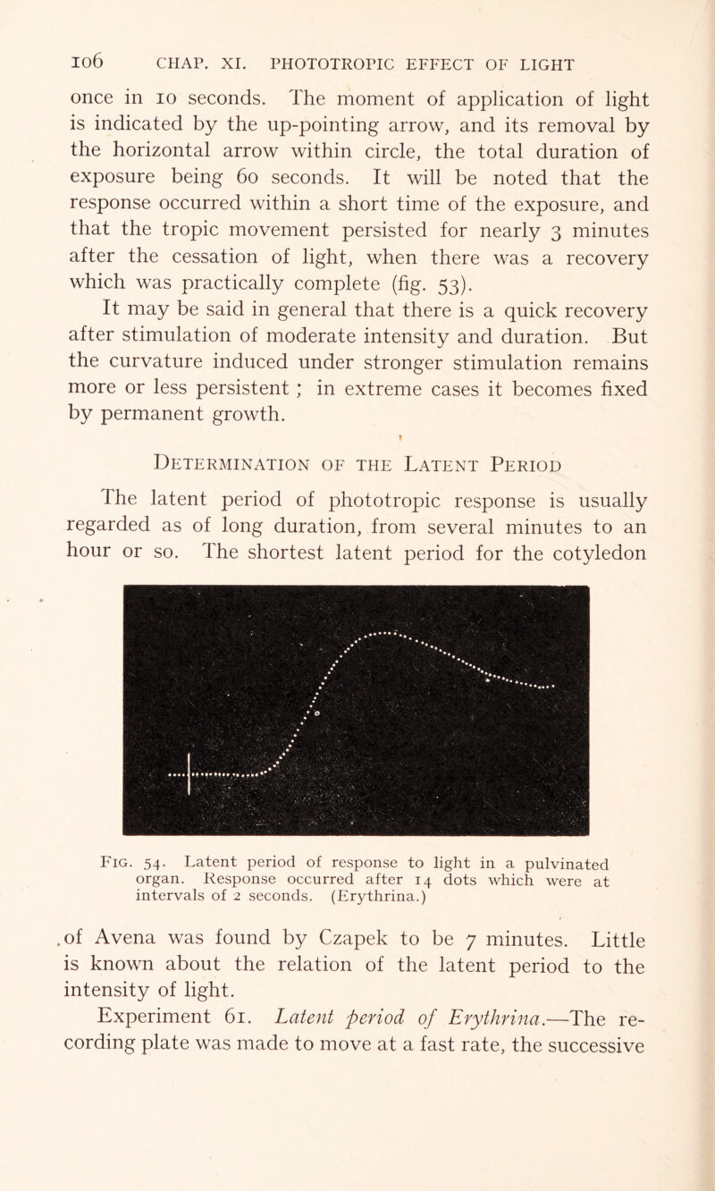 once in io seconds. The moment of application of light is indicated by the up-pointing arrow, and its removal by the horizontal arrow within circle, the total duration of exposure being 60 seconds. It will be noted that the response occurred within a short time of the exposure, and that the tropic movement persisted for nearly 3 minutes after the cessation of light, when there was a recovery which was practically complete (fig. 53). It may be said in general that there is a quick recovery after stimulation of moderate intensity and duration. But the curvature induced under stronger stimulation remains more or less persistent ; in extreme cases it becomes fixed by permanent growth. f Determination of the Latent Period The latent period of phototropic response is usually regarded as of long duration, from several minutes to an hour or so. The shortest latent period for the cotyledon Fig. 54. Latent period of response to light in a pulvinated organ. Response occurred after 14 dots which were at intervals of 2 seconds. (Erythrina.) .of Avena was found by Czapek to be 7 minutes. Little is known about the relation of the latent period to the intensity of light. Experiment 61. Latent period of Erythrina.—The re- cording plate was made to move at a fast rate, the successive