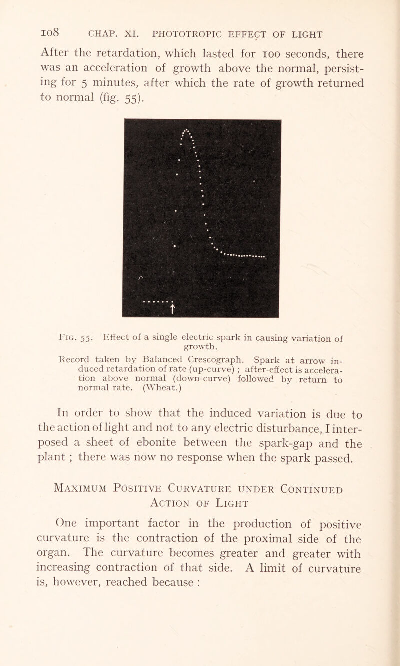 After the retardation, which lasted for ioo seconds, there was an acceleration of growth above the normal, persist- ing for 5 minutes, after which the rate of growth returned to normal (fig. 55). Fig. 55. Effect of a single electric spark in causing variation of growth. Record taken by Balanced Crescograph. Spark at arrow in- duced retardation of rate (up-curve) ; after-effect is accelera- tion above normal (down-curve) followed by return to normal rate. (Wheat.) In order to show that the induced variation is due to the action of light and not to any electric disturbance, I inter- posed a sheet of ebonite between the spark-gap and the plant ; there was now no response when the spark passed. Maximum Positive Curvature under Continued Action of Light One important factor in the production of positive curvature is the contraction of the proximal side of the organ. The curvature becomes greater and greater with increasing contraction of that side. A limit of curvature is, however, reached because :