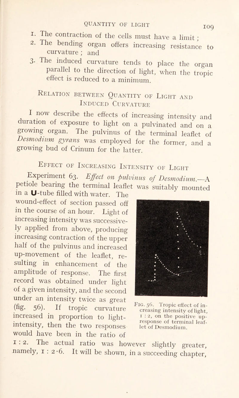 QUANTITY OF LIGHT 10g 1. The contraction of the cells must have a limit ; 2. The bending organ offers increasing resistance to curvature ; and 3- The induced curvature tends to place the organ parallel to the direction of light, when the tropic effect is reduced to a minimum. Relation between Quantity of Light and Induced Curvature I now describe the effects of increasing intensity and curation of exposure to light on a pulvinated and on a growing organ. The pulvinus of the terminal leaflet of Desmodium gyrans was employed for the former, and a growing bud of Crinum for the latter. Effect of Increasing Intensity of Light Experiment 63. Effect on pulvinus of Desmodium.—A petiole bearing the terminal leaflet was suitably mounted m a U-tube filled with water. The wound-effect of section passed off in the course of an hour. Light of increasing intensity was successive- ly applied from above, producing increasing contraction of the upper half of the pulvinus and increased up-movement of the leaflet, re- sulting in enhancement of the amplitude of response. The first record was obtained under light of a given intensity, and the second under an intensity twice as great (fig* 56). If tropic curvature increased in proportion to light- intensity, then the two responses would have been in the ratio of 1 . 2. The actual ratio was however slightly greater, namely, i . 2 *6. It will be shown, in a succeeding chapter, Fig. 56. Tropic effect of in- creasing intensity of light, 1 : 2, on the positive up- response of terminal leaf- let of Desmodium.