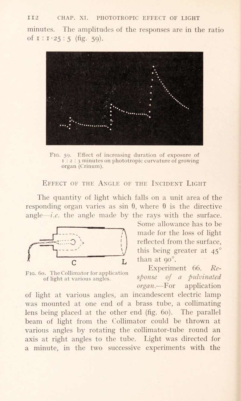 minutes. The amplitudes of the responses are in the ratio of i : 1-25 : 5 (fig. 59). Fig. 59. Effect of increasing duration of exposure of 1:2:3 minutes on phototropic curvature of growing organ (Crinum). Effect of the Angle of the Incident Light The quantity of light which falls on a unit area of the responding organ varies as sin 0, where 0 is the directive angle—i.e. the angle made by the rays with the surface. Some allowance has to be made for the loss of light reflected from the surface, this being greater at 45° than at go°. Experiment 66. Re- sponse of a pulvinated organ.-—For application of light at various angles, an incandescent electric lamp was mounted at one end of a brass tube, a collimating lens being placed at the other end (fig. 60). The parallel beam of light from the Collimator could be thrown at various angles by rotating the collimator-tube round an axis at right angles to the tube. Light was directed for a minute, in the two successive experiments with the Fig. 60. The Collimator for application of light at various angles.