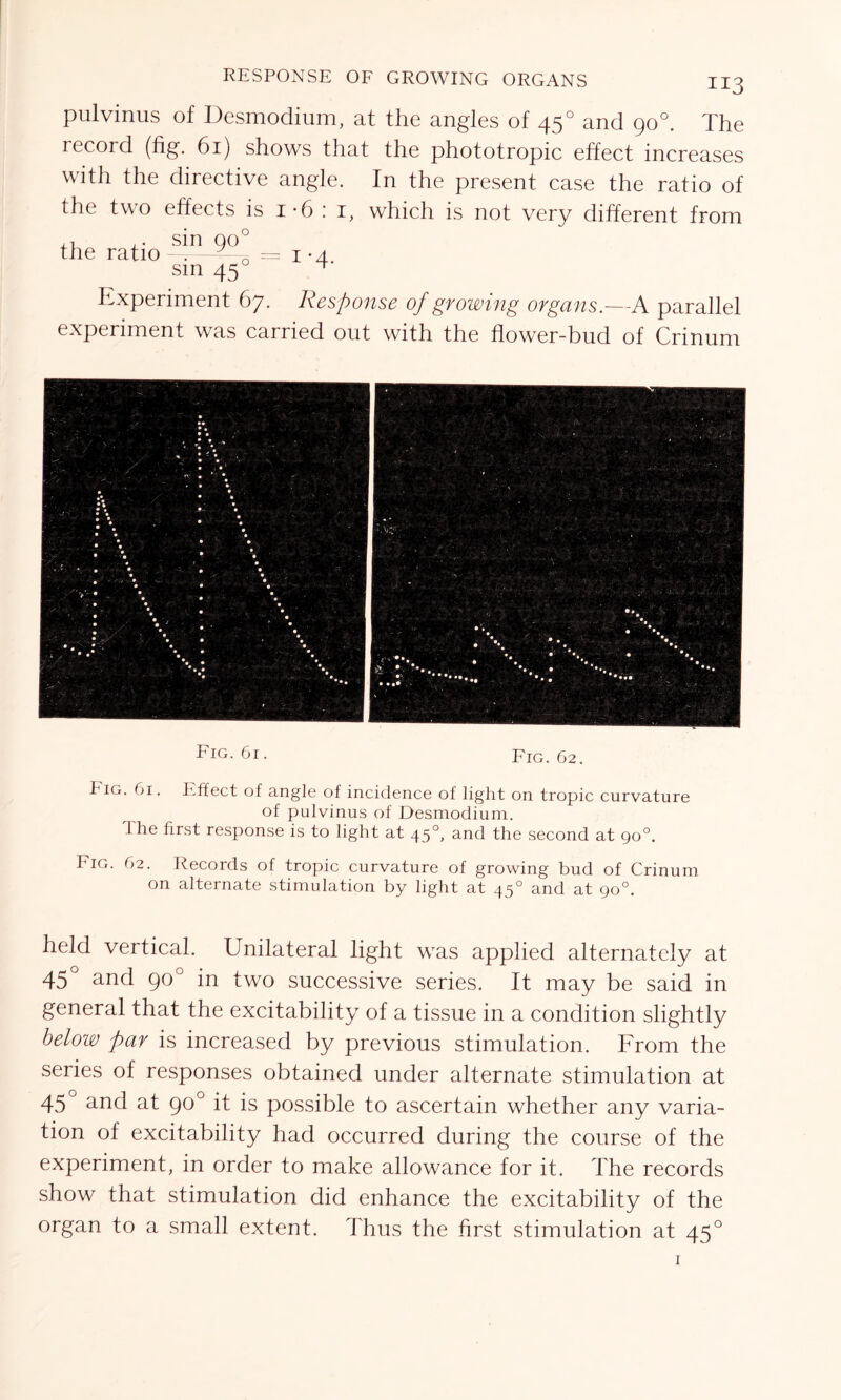 RESPONSE OF GROWING ORGANS pulvinus of Desmodium, at the angles of 450 and 90°. The record (hg. 61) shows that the phototropic effect increases with the directive angle. In the present case the ratio of the two effects is i-6 : i, which is not very different from the ratio sin 900 sin 450 = !’4- Experiment 67. Response of growing organs.—A parallel experiment was carried out with the flower-bud of Crinum Pig. 61. PTfect of angle of incidence of light on tropic curvature of pulvinus of Desmodium. The first response is to light at 450, and the second at 90°. Pig. 62. Records of tropic curvature of growing bud of Crinum on alternate stimulation by light at 450 and at 90°. held vertical. Unilateral light was applied alternately at 45 an<4 9°° in two successive series. It may be said in general that the excitability of a tissue in a condition slightly below par is increased by previous stimulation. From the series of responses obtained under alternate stimulation at 45 and at 90° it is possible to ascertain whether any varia- tion of excitability had occurred during the course of the experiment, in order to make allowance for it. The records show that stimulation did enhance the excitability of the organ to a small extent. Thus the first stimulation at 450 1