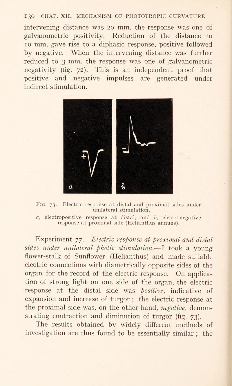 intervening distance was 20 mm. the response was one of galvanometric positivity. Reduction of the distance to 10 mm. gave rise to a diphasic response, positive followed by negative. When the intervening distance was further reduced to 3 mm. the response was one of galvanometric negativity (fig. 72). This is an independent proof that positive and negative impulses are generated under indirect stimulation. Fig. 73. Electric response at distal and proximal sides under unilateral stimulation. a, electropositive response at distal, and b, electronegative response at proximal side (Helianthus annuus). Experiment 77. Electric response at proximal and distal sides under unilateral photic stimulation.—I took a young flower-stalk of Sunflower (Helianthus) and made suitable electric connections with diametrically opposite sides of the organ for the record of the electric response. On applica- tion of strong light on one side of the organ, the electric response at the distal side was positive, indicative of expansion and increase of turgor ; the electric response at the proximal side was, on the other hand, negative, demon- strating contraction and diminution of turgor (fig. 73). The results obtained by widely different methods of investigation are thus found to be essentially similar ; the