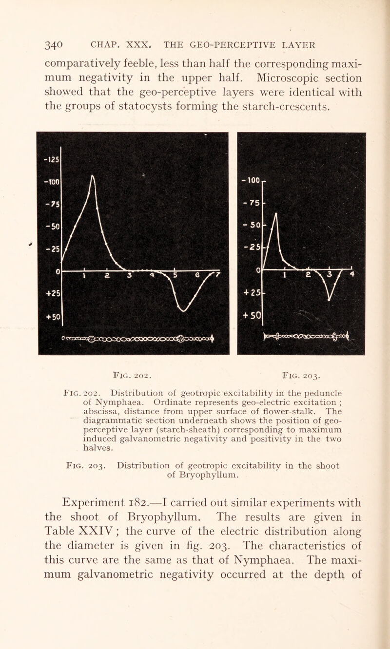 comparatively feeble, less than half the corresponding maxi- mum negativity in the upper half. Microscopic section showed that the geo-perceptive layers were identical with the groups of statocysts forming the starch-crescents. Fig.202. Fig. 203. Fig. 202. Distribution of geotropic excitability in the peduncle of Nymphaea. Ordinate represents geo-electric excitation ; abscissa, distance from upper surface of flower-stalk. The diagrammatic section underneath shows the position of geo- perceptive layer (starch-sheath) corresponding to maximum induced galvanometric negativity and positivity in the two halves. Fig. 203. Distribution of geotropic excitability in the shoot of Bryophyllum. Experiment 182.—I carried out similar experiments with the shoot of Bryophyllum. The results are given in Table XXIV; the curve of the electric distribution along the diameter is given in fig. 203. The characteristics of this curve are the same as that of Nymphaea. The maxi- mum galvanometric negativity occurred at the depth of