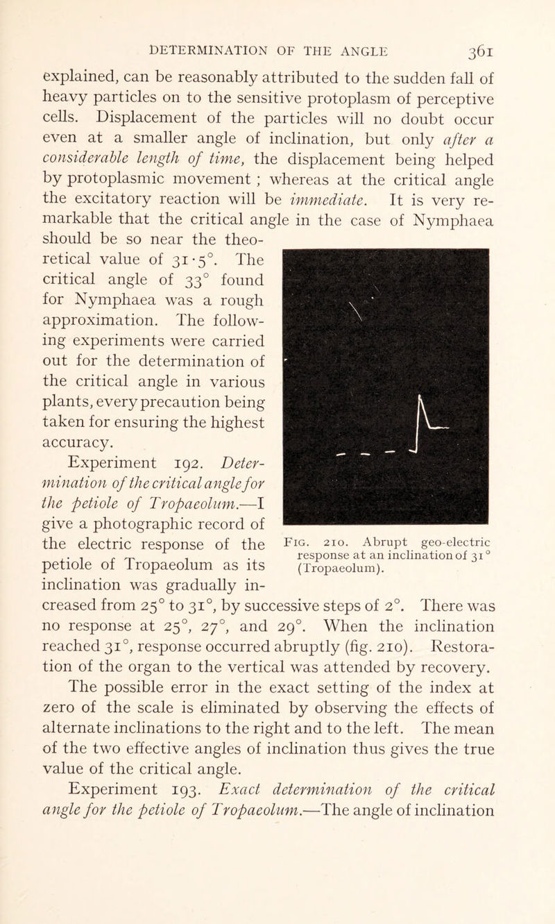 explained, can be reasonably attributed to the sudden fall of heavy particles on to the sensitive protoplasm of perceptive cells. Displacement of the particles will no doubt occur even at a smaller angle of inclination, but only after a considerable length of time, the displacement being helped by protoplasmic movement ; whereas at the critical angle the excitatory reaction will be immediate. It is very re- markable that the critical angle in the case of Nymphaea should be so near the theo- retical value of 31-5°. The critical angle of 330 found for Nymphaea was a rough approximation. The follow- ing experiments were carried out for the determination of the critical angle in various plants, every precaution being taken for ensuring the highest accuracy. Experiment 192. Deter- mination of the critical angle for the petiole of Tropaeolum.—I give a photographic record of the electric response of the Fig* 2I°- Abrupt geo-electric . , r ™ . response at an inclination of 310 petiole Of Iropaeolum as its (Tropaeolum). inclination was gradually in- creased from 250 to 310, by successive steps of 2°. There was no response at 250, 270, and 290. When the inclination reached 31 °, response occurred abruptly (kg. 210). Restora- tion of the organ to the vertical was attended by recovery. The possible error in the exact setting of the index at zero of the scale is eliminated by observing the effects of alternate inclinations to the right and to the left. The mean of the two effective angles of inclination thus gives the true value of the critical angle. Experiment 193. Exact determination of the critical angle for the petiole of Tropaeolum.—The angle of inclination