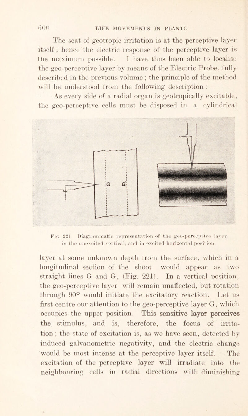 The seat of geotropic irritation is at the perceptive layer itself; hence the electric response of the perceptive layer is tiie maximum possible. I have thus been able to localise the geo-perceptive layer by means of the Electric Probe, fully described in the previous volume ; the principle of the method will be understood from the following description :— As every side of a radial organ is geotropically excitable, the geo-perceptive cells must be disposed in a cylindrical Hi. 221 Diagrammatic representation of the geo-perceptive layer in 1 lie unexcited vertical, and in excited horizontal position. layer at some unknown depth from the surface, which in a longitudinal section of the shoot would appear as two straight lines G and G, (Fig. 221). In a vertical position, the geo-perceptive layer will remain unaffected, but rotation through 90° would initiate the excitatory reaction. Let us first centre our attention to the geo-perceptive layer G, which occupies the upper position. This sensitive layer perceives the stimulus, and is, therefore, the focus of irrita- tion ; the state of excitation is, as we have seen, detected by induced galvanometric negativity, and the electric change would be most intense at the perceptive layer itself. The excitation of the perceptive layer will irradiate into the neighbouring cells in radial directions with diminishing