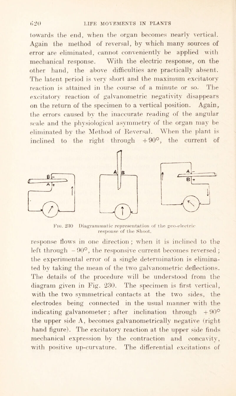 towards the end, when the organ becomes nearly vertical. Again the method of reversal, by which many sources of error are eliminated, cannot conveniently be applied with mechanical response. With the electric response, on the other hand, the above difficulties are practically absent. The latent period is very short and the maximum excitatory reaction is attained in the course of a minute or so. The excitatory reaction of galvanometric negativity disappears on the return of the specimen to a vertical position. Again, the errors caused by the inaccurate reading of the angular scale and the physiological asymmetry of the organ may be eliminated by the Method of Reversal. When the plant is inclined to the right through +90°, the current of Fig. 230 Diagrammatic representation of the geo-electric response of the Shoot. response tlows in one direction ; when it is inclined to the left through -90°, the responsive current becomes reversed ; the experimental error of a single determination is elimina- ted by taking the mean of the two galvanometric deflections. The details of the procedure will be understood from the diagram given in Fig. 230. The specimen is first vertical, with the two symmetrical contacts at the two sides, the electrodes being connected in the usual manner with the indicating galvanometer; after inclination through + 90° the upper side A, becomes galvanometrically negative (right hand figure). The excitatory reaction at the upper side finds mechanical expression by the contraction and concavity, with positive up-curvature. The differential excitations of