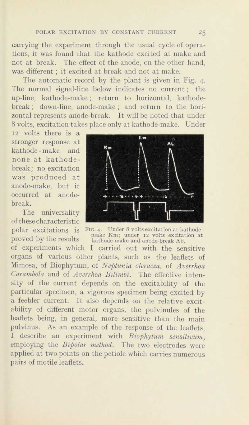 carrying the experiment through the usual cycle of opera- tions, it was found that the kathode excited at make and not at break. The effect of the anode, on the other hand, was different; it excited at break and not at make. The automatic record by the plant is given in Fig. 4. The normal signal-line below indicates no current ; the up-line, kathode-make; return to horizontal, kathode- break ; down-line, anode-make ; and return to the hori- zontal represents anode-break. It will be noted that under 8 volts, excitation takes place only at kathode-make. Under 12 volts there is a stronger response at kathode - make and none at kathode- break; no excitation was produced at anode-make, but it occurred at anode- break. The universality of these characteristic polar excitations is Fig. 4. Under 8 volts excitation at kathode- ... . make Km; under 12 volts excitation at proved by the results kathode-make and anode-break Ab. of experiments which I carried out with the sensitive organs of various other plants, such as the leaflets of Mimosa, of Biophytum, of Neptunia oleracea, of Averrhoa Carambola and of Averrhoa Bilimbi. The effective inten- sity of the current depends on the excitability of the particular specimen, a vigorous specimen being excited by a feebler current. It also depends on the relative excit- ability of different motor organs, the pulvinules of the leaflets being, in general, more sensitive than the main pulvinus. As an example of the response of the leaflets, I describe an experiment with Biophytum sensitivum, employing the Bipolar method. The two electrodes were applied at two points on the petiole which carries numerous pairs of motile leaflets.