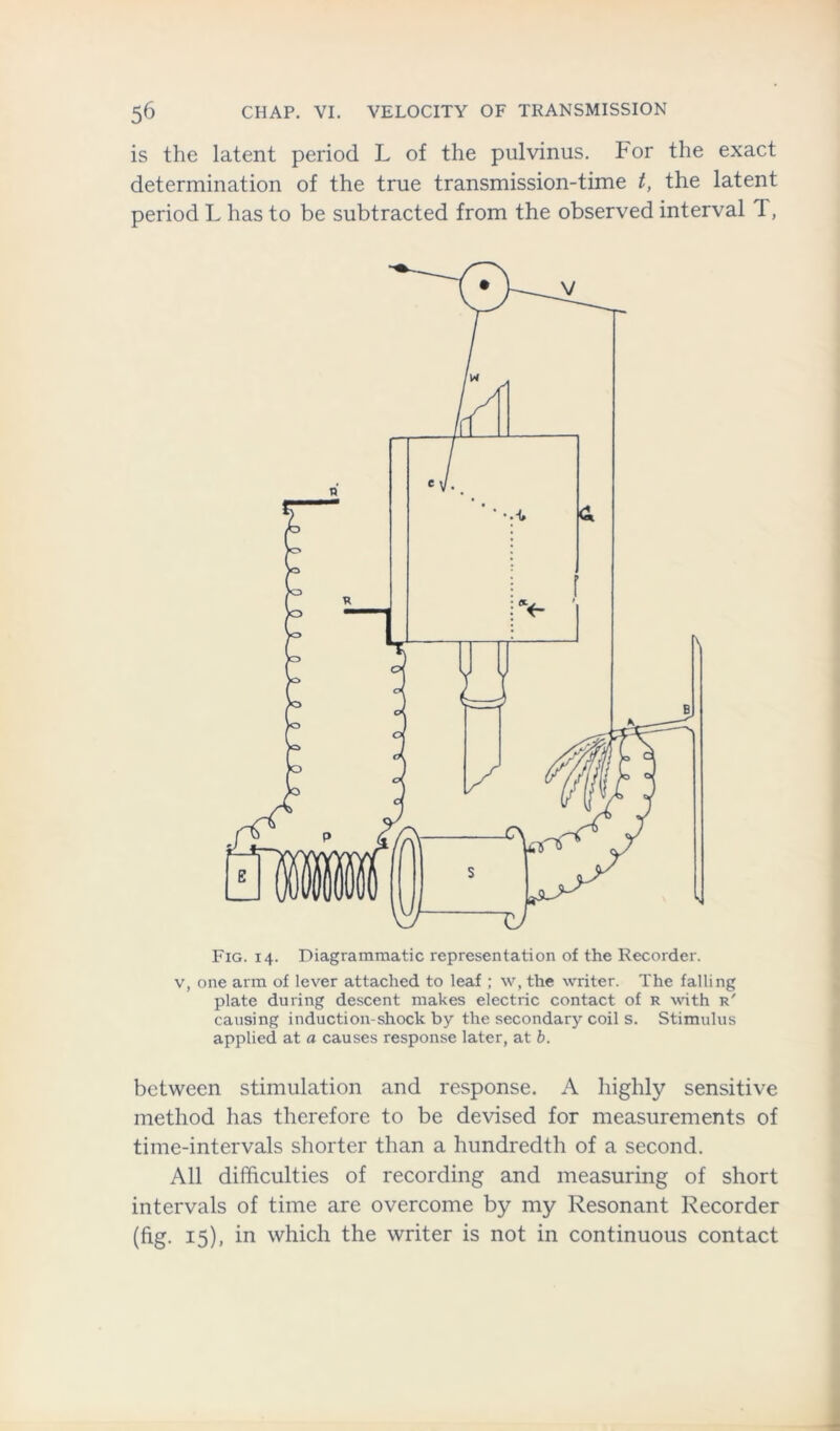 is the latent period L of the pulvinus. For the exact determination of the true transmission-time t, the latent period L has to be subtracted from the observed interval T, Fig. 14. Diagrammatic representation of the Recorder. v, one arm of lever attached to leaf ; w, the writer. The falling plate during descent makes electric contact of R with r' causing induction-shock by the secondary coil s. Stimulus applied at a causes response later, at b. between stimulation and response. A highly sensitive method has therefore to be devised for measurements of time-intervals shorter than a hundredth of a second. All difficulties of recording and measuring of short intervals of time are overcome by my Resonant Recorder (fig. 15), in which the writer is not in continuous contact