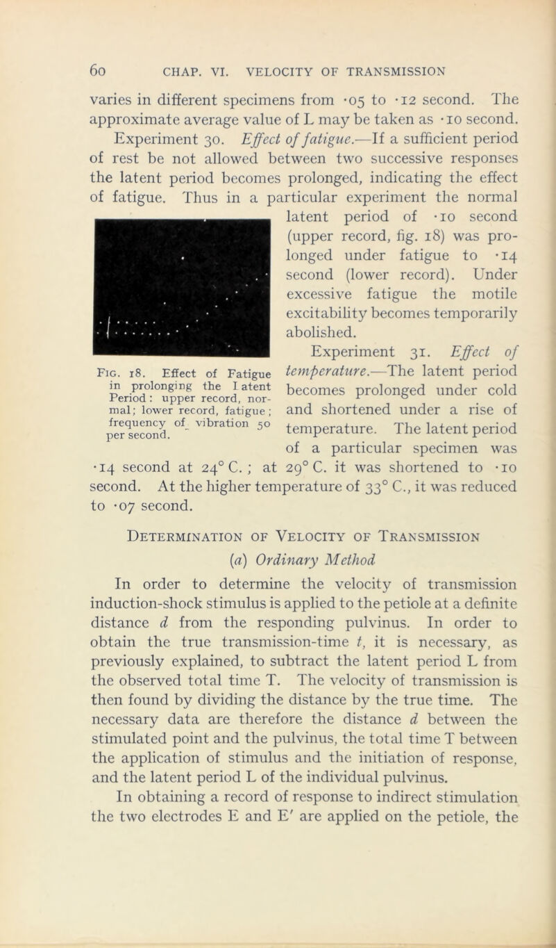 varies in different specimens from *05 to -12 second. The approximate average value of L may be taken as • 10 second. Experiment 30. Effect of fatigue.—If a sufficient period of rest be not allowed between two successive responses the latent period becomes prolonged, indicating the effect of fatigue. Thus in a particular experiment the normal latent period of -io second (upper record, fig. 18) was pro- longed under fatigue to -14 second (lower record). Under excessive fatigue the motile excitability becomes temporarily abolished. Experiment 31. Effect of temperature.—The latent period becomes prolonged under cold and shortened under a rise of temperature. The latent period of a particular specimen was •14 second at 240 C. ; at 29° C. it was shortened to -io second. At the higher temperature of 330 C., it was reduced to -07 second. Determination of Velocity of Transmission (a) Ordinary Method In order to determine the velocity of transmission induction-shock stimulus is applied to the petiole at a definite distance d from the responding pulvinus. In order to obtain the true transmission-time t, it is necessary, as previously explained, to subtract the latent period L from the observed total time T. The velocity of transmission is then found by dividing the distance by the true time. The necessary data are therefore the distance d between the stimulated point and the pulvinus, the total time T between the application of stimulus and the initiation of response, and the latent period L of the individual pulvinus. In obtaining a record of response to indirect stimulation the two electrodes E and E' are applied on the petiole, the Fig. 18. Effect of Fatigue in prolonging the latent Period : upper record, nor- mal; lower record, fatigue; frequency of vibration 50 per second.