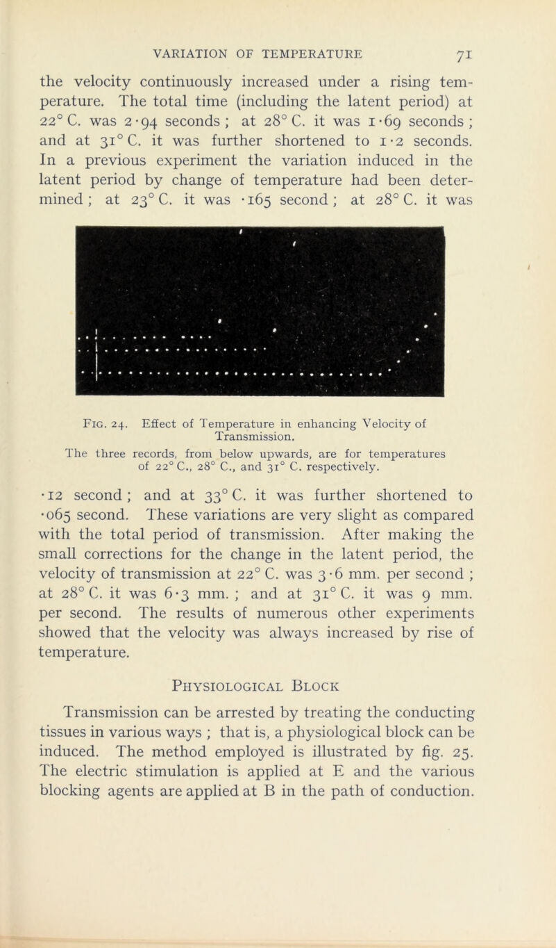 the velocity continuously increased under a rising tem- perature. The total time (including the latent period) at 220 C. was 2-94 seconds; at 28° C. it was 1-69 seconds; and at 310 C. it was further shortened to 1*2 seconds. In a previous experiment the variation induced in the latent period by change of temperature had been deter- mined ; at 230 C. it was -165 second; at 28° C. it was Fig. 24. Effect of Temperature in enhancing Velocity of Transmission. The three records, from below upwards, are for temperatures of 220 C., 28° C., and 310 C. respectively. •12 second; and at 330 C. it was further shortened to •065 second. These variations are very slight as compared with the total period of transmission. After making the small corrections for the change in the latent period, the velocity of transmission at 220 C. was 3-6 mm. per second ; at 28° C. it was 6-3 mm. ; and at 31° C. it was 9 mm. per second. The results of numerous other experiments showed that the velocity was always increased by rise of temperature. Physiological Block Transmission can be arrested by treating the conducting tissues in various ways ; that is, a physiological block can be induced. The method employed is illustrated by fig. 25. The electric stimulation is applied at E and the various blocking agents are applied at B in the path of conduction.