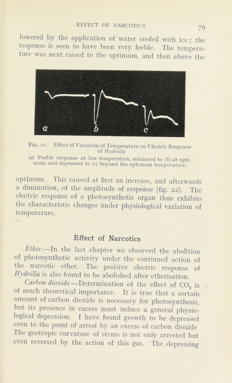 EFFECT OF NARCOTICS lowered by the application of water cooled with ice ; the response is seen to have been very feeble. The tempera- ture was next raised to the optimum, and then above the Fig. 22. Effect of \ ariation of Temperature on Electric Response of Hydrilla (a) Feeble response at low temperature, enhanced to (6) at opti- mum and depressed to (c) beyond the optimum temperature. optimum. This caused at first an increase, and afterwards a diminution, of the amplitude of response (fig. 22). The electric response of a photosynthetic organ thus exhibits the characteristic changes under physiological variation of temperature. Effect of Narcotics Ether. In the last chapter we observed the abolition of photosynthetic activity under the continued action of the narcotic ether. The positive electric response of Hydrilla is also found to be abolished after etherisation. Carbon dioxide.—Determination of the effect of C0o is of much theoretical importance. It is true that a certain amount of carbon dioxide is necessary for photosynthesis, but its presence in excess must induce a general physio- logical depression. I have found growth to be depressed even to the point of arrest by an excess of carbon dioxide The geotropic curvature of stems is not only arrested but even reveised by the action of this gas. The depressing