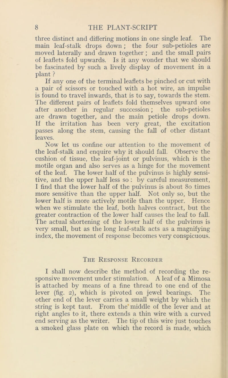 three distinct and differing motions in one single leaf. The main leaf-stalk drops down; the four sub-petioles are moved laterally and drawn together; and the small pairs of leaflets fold upwards. Is it any wonder that we should be fascinated by such a lively display of movement in a plant ? If any one of the terminal leaflets be pinched or cut with a pair of scissors or touched with a hot wire, an impulse is found to travel inwards, that is to say, towards the stem. The different pairs of leaflets fold themselves upward one after another in regular succession; the sub-petioles are drawn together, and the main petiole drops down. If the irritation has been very great, the excitation passes along the stem, causing the fall of other distant leaves. Now let us confine our attention to the movement of the leaf-stalk and enquire why it should fall. Observe the cushion of tissue, the leaf-joint or pulvinus, which is the motile organ and also serves as a hinge for the movement of the leaf. The lower half of the pulvinus is highly sensi- tive, and the upper half less so : by careful measurement, I find that the lower half of the pulvinus is about 80 times more sensitive than the upper half. Not only so, but the lower half is more actively motile than the upper. Hence when we stimulate the leaf, both halves contract, but the greater contraction of the lower half causes the leaf to fall. The actual shortening of the lower half of the pulvinus is very small, but as the long leaf-stalk acts as a magnifying index, the movement of response becomes very conspicuous. The Response Recorder I shall now describe the method of recording the re- sponsive movement under stimulation. A leaf of a Mimosa is attached by means of a fine thread to one end of the lever (fig. 2), which is pivoted on jewel bearings. The other end of the lever carries a small weight by which the string is kept taut. From the' middle of the lever and at right angles to it, there extends a thin wire with a curved end serving as the writer. The tip of this wire just touches a smoked glass plate on which the record is made, which