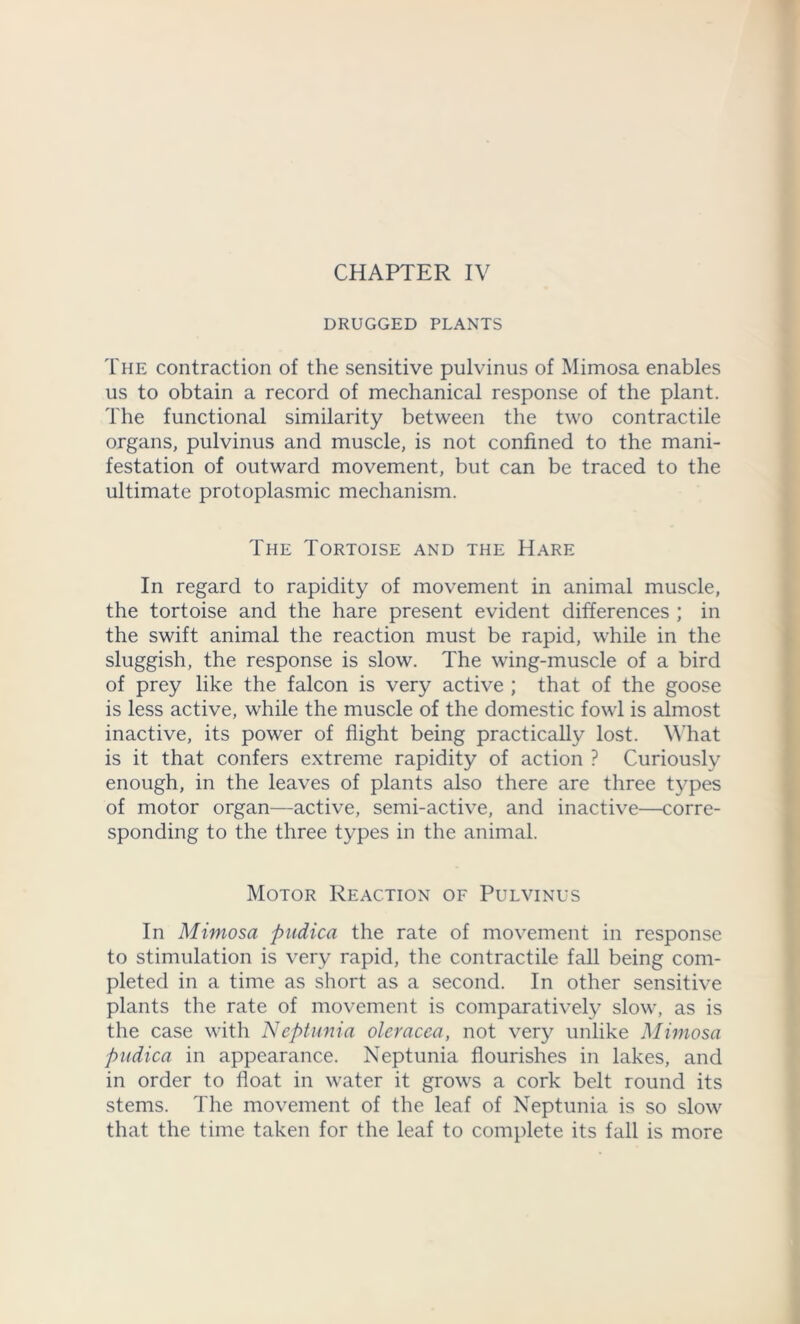DRUGGED PLANTS The contraction of the sensitive pulvinus of Mimosa enables us to obtain a record of mechanical response of the plant. The functional similarity between the two contractile organs, pulvinus and muscle, is not confined to the mani- festation of outward movement, but can be traced to the ultimate protoplasmic mechanism. The Tortoise and the Hare In regard to rapidity of movement in animal muscle, the tortoise and the hare present evident differences ; in the swift animal the reaction must be rapid, while in the sluggish, the response is slow. The wing-muscle of a bird of prey like the falcon is very active ; that of the goose is less active, while the muscle of the domestic fowl is almost inactive, its power of flight being practically lost. What is it that confers extreme rapidity of action ? Curiously enough, in the leaves of plants also there are three types of motor organ—active, semi-active, and inactive—corre- sponding to the three types in the animal. Motor Reaction of Pulvinus In Mimosa pudica the rate of movement in response to stimulation is very rapid, the contractile fall being com- pleted in a time as short as a second. In other sensitive plants the rate of movement is comparatively slow, as is the case with Neptunia oleracea, not very unlike Mimosa pudica in appearance. Neptunia flourishes in lakes, and in order to float in water it grows a cork belt round its stems. The movement of the leaf of Neptunia is so slow that the time taken for the leaf to complete its fall is more