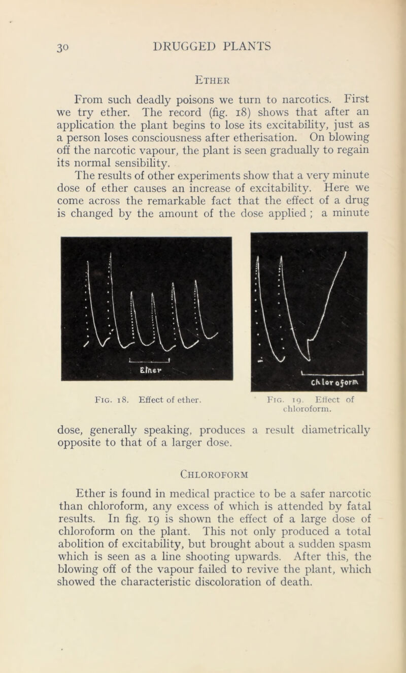 Ether From such deadly poisons we turn to narcotics. First we try ether. The record (fig. 18) shows that after an application the plant begins to lose its excitability, just as a person loses consciousness after etherisation. On blowing off the narcotic vapour, the plant is seen gradually to regain its normal sensibility. The results of other experiments show that a very minute dose of ether causes an increase of excitability. Here we come across the remarkable fact that the effect of a drug is changed by the amount of the dose applied ; a minute Fig. 18. Effect of ether. Fig. 19. Effect of chloroform. dose, generally speaking, produces a result diametrically opposite to that of a larger dose. Chloroform Ether is found in medical practice to be a safer narcotic than chloroform, any excess of which is attended by fatal results. In fig. 19 is shown the effect of a large dose of chloroform on the plant. This not only produced a total abolition of excitability, but brought about a sudden spasm which is seen as a line shooting upwards. After this, the blowing off of the vapour failed to revive the plant, which showed the characteristic discoloration of death.