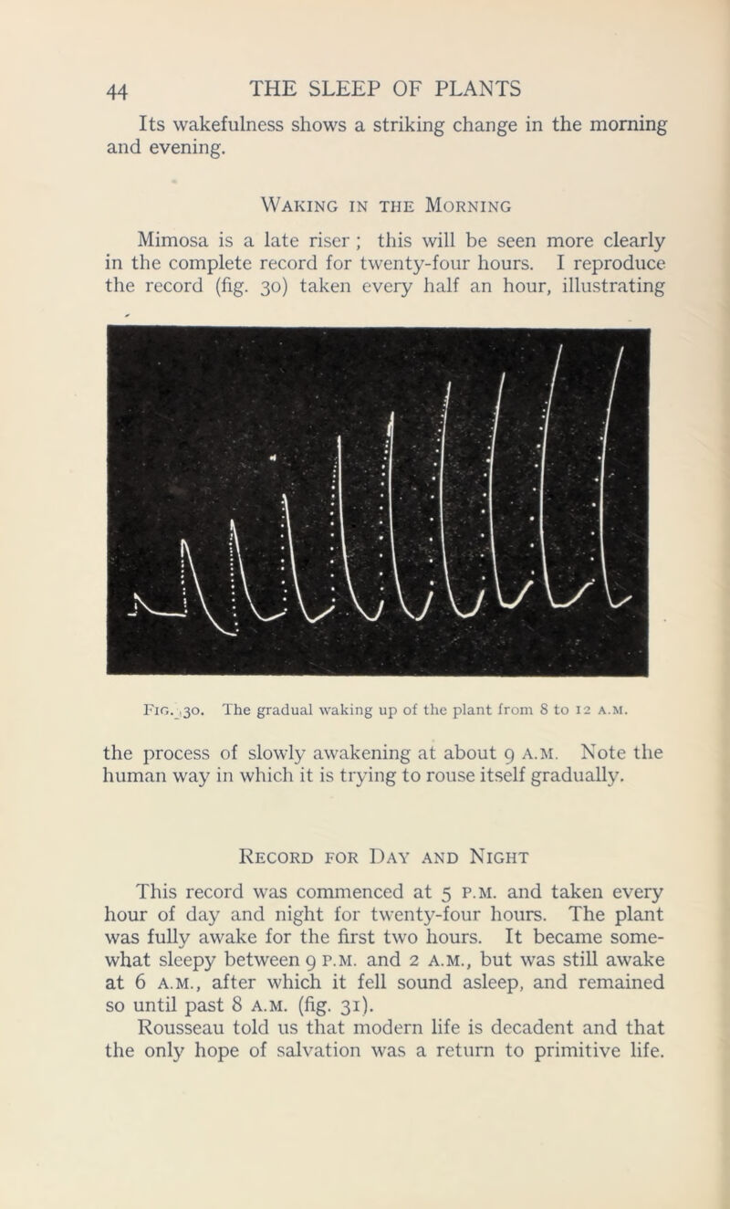 Its wakefulness shows a striking change in the morning and evening. Waking in the Morning Mimosa is a late riser ; this will be seen more clearly in the complete record for twenty-four hours. I reproduce the record (fig. 30) taken every half an hour, illustrating Fig. .30. The gradual waking up of the plant from 8 to 12 a.m. the process of slowly awakening at about 9 a.m. Note the human way in which it is trying to rouse itself gradually. Record for Day and Night This record was commenced at 5 p.m. and taken every hour of day and night for twenty-four hours. The plant was fully awake for the first two hours. It became some- what sleepy between 9 p.m. and 2 a.m., but was still awake at 6 a.m., after which it fell sound asleep, and remained so until past 8 a.m. (fig. 31). Rousseau told us that modern life is decadent and that the only hope of salvation was a return to primitive life.