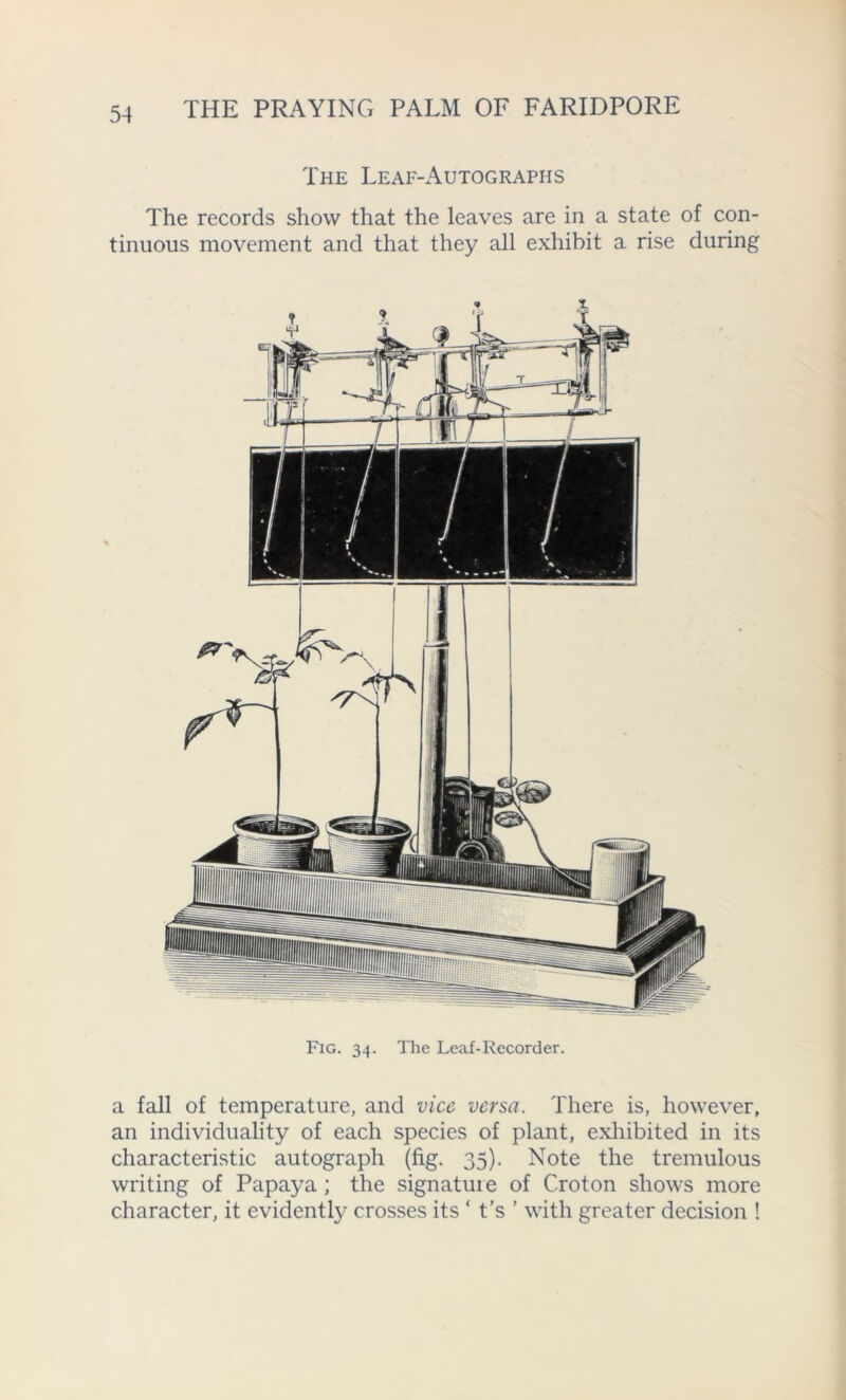 The Leaf-Autographs The records show that the leaves are in a state of con- tinuous movement and that they all exhibit a rise during Fig. 34. The Leaf-Recorder. a fall of temperature, and vice versa. There is, however, an individuality of each species of plant, exhibited in its characteristic autograph (fig. 35). Note the tremulous writing of Papaya; the signature of Croton shows more character, it evidently crosses its ‘ t’s ’ with greater decision !