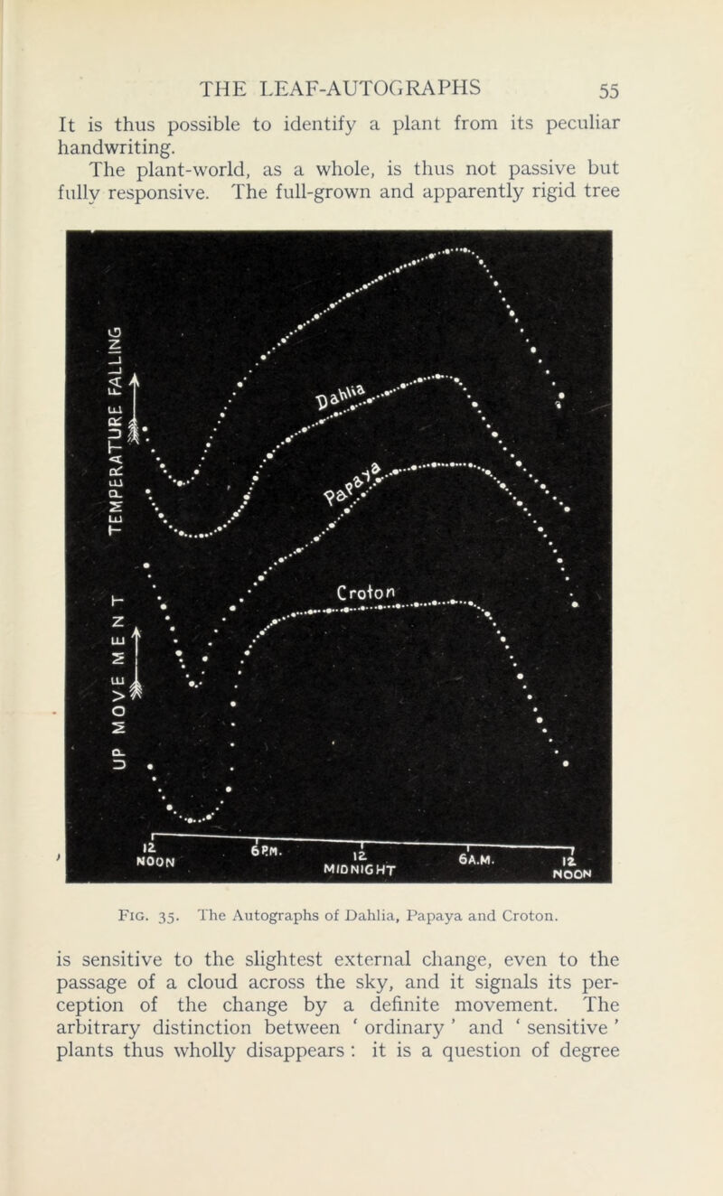 It is thus possible to identify a plant from its peculiar handwriting. The plant-world, as a whole, is thus not passive but fully responsive. The full-grown and apparently rigid tree Fig. 35. The Autographs of Dahlia, Papaya and Croton. is sensitive to the slightest external change, even to the passage of a cloud across the sky, and it signals its per- ception of the change by a definite movement. The arbitrary distinction between * ordinary ’ and 1 sensitive ’ plants thus wholly disappears : it is a question of degree