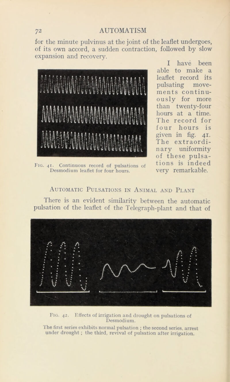 for the minute pulvinus at the joint of the leaflet undergoes, of its own accord, a sudden contraction, followed by slow expansion and recovery. Fig. 41. Continuous record of pulsations of Desmodium leaflet for four hours. I have been able to make a leaflet record its pulsating move- ments continu- ously for more than twenty-four hours at a time. The record for four hours is given in fig. 41. The extraordi- nary uniformity of these pulsa- tions is indeed very remarkable. Automatic Pulsations in Animal and Plant There is an evident similarity between the automatic pulsation of the leaflet of the Telegraph-plant and that of Fig. 42. Effects of irrigation and drought on pulsations of Desmodium. The first series exhibits normal pulsation ; the second series, arrest under drought ; the third, revival of pulsation after irrigation.