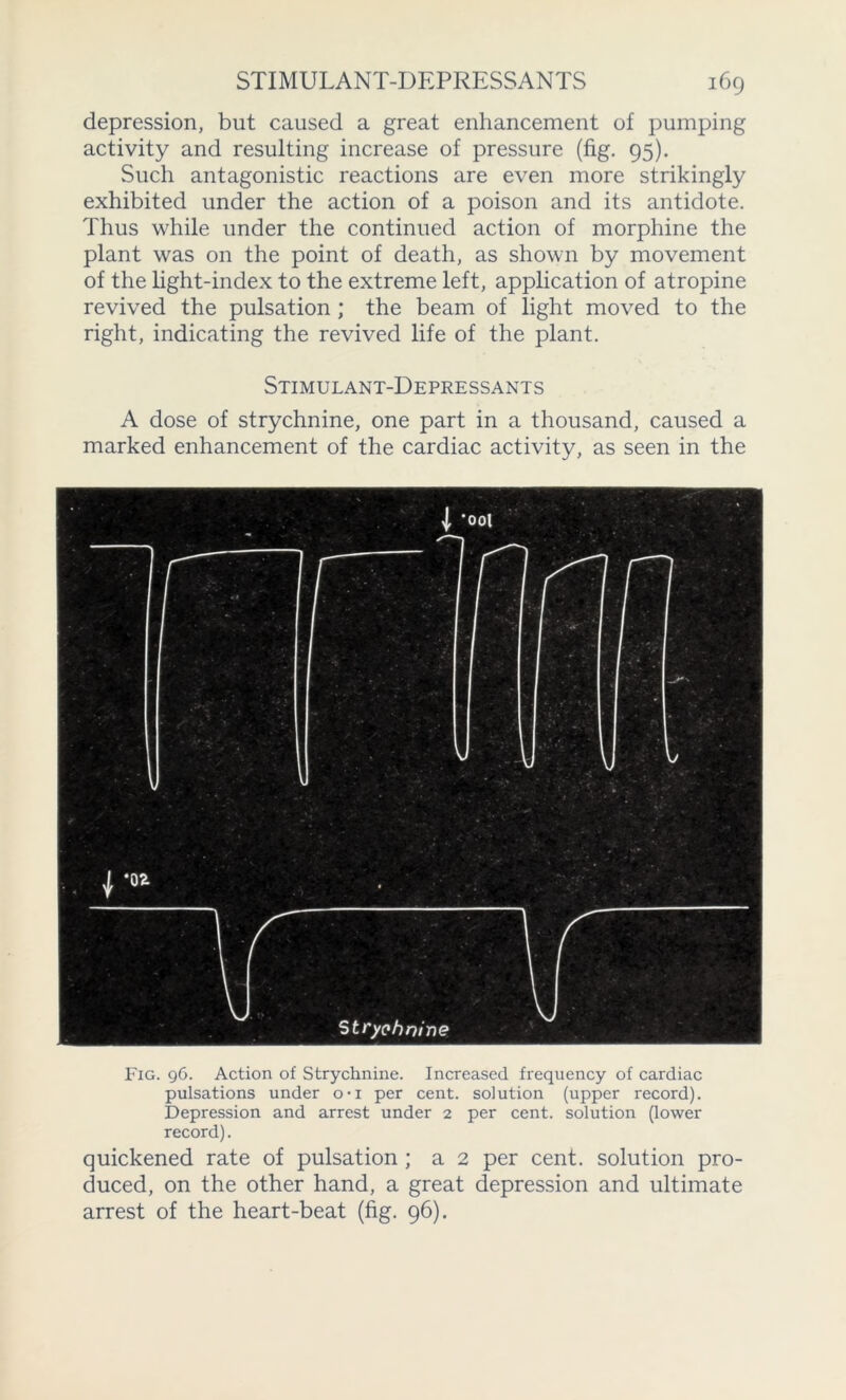 depression, but caused a great enhancement of pumping activity and resulting increase of pressure (fig. 95). Such antagonistic reactions are even more strikingly exhibited under the action of a poison and its antidote. Thus while under the continued action of morphine the plant was on the point of death, as shown by movement of the light-index to the extreme left, application of atropine revived the pulsation ; the beam of light moved to the right, indicating the revived life of the plant. Stimulant-Depressants A dose of strychnine, one part in a thousand, caused a marked enhancement of the cardiac activity, as seen in the Fig. 96. Action of Strychnine. Increased frequency of cardiac pulsations under o*i per cent, solution (upper record). Depression and arrest under 2 per cent, solution (lower record). quickened rate of pulsation ; a 2 per cent, solution pro- duced, on the other hand, a great depression and ultimate arrest of the heart-beat (fig. 96).