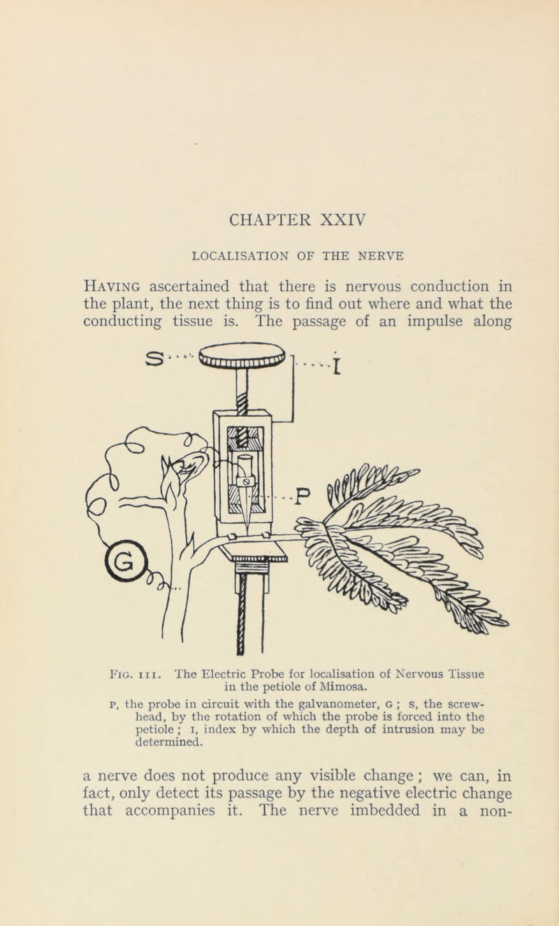 CHAPTER XXIV LOCALISATION OF THE NERVE Having ascertained that there is nervous conduction in the plant, the next thing is to find out where and what the conducting tissue is. The passage of an impulse along Fig. iii. The Electric Probe for localisation of Nervous Tissue in the petiole of Mimosa. p, the probe in circuit with the galvanometer, g ; s, the screw- head, by the rotation of which the probe is forced into the petiole ; I, index by which the depth of intrusion may be determined. a nerve does not produce any visible change ; we can, in fact, only detect its passage by the negative electric change that accompanies it. The nerve imbedded in a non-