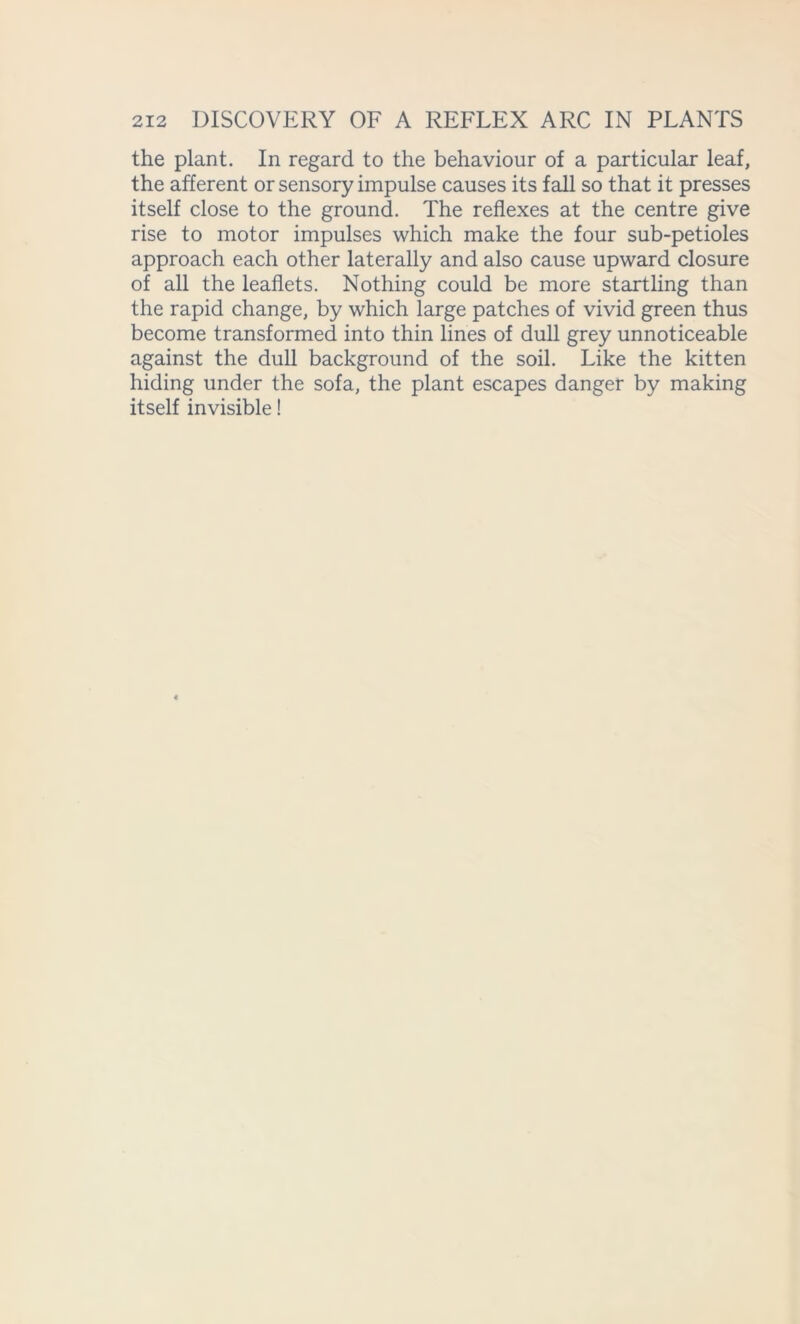 the plant. In regard to the behaviour of a particular leaf, the afferent or sensory impulse causes its fall so that it presses itself close to the ground. The reflexes at the centre give rise to motor impulses which make the four sub-petioles approach each other laterally and also cause upward closure of all the leaflets. Nothing could be more startling than the rapid change, by which large patches of vivid green thus become transformed into thin lines of dull grey unnoticeable against the dull background of the soil. Like the kitten hiding under the sofa, the plant escapes danger by making itself invisible!