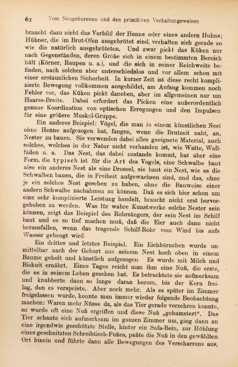 braucht dazu nicht das Vorbild der Henne oder eines andern Huhns; Hühner, die im Brut-Ofen ausgebrütet sind, verhalten sich gerade so wie die natürlich ausgebrüteten. Und zwar pickt das Küken nur nach Gegenständen, deren Größe sich in einem bestimmten Bereich hält (Körner, Raupen u. a.), und die sich in seiner Reichweite be¬ finden, nach solchen aber unterschiedslos und vor allem schon mit einer erstaunlichen Sicherheit. In kurzer Zeit ist diese recht kompli¬ zierte Bewegung vollkommen ausgebildet, am Anfang kommen noch Fehler vor, das Küken pickt daneben, aber im allgemeinen nur um Haares-Breite. Dabei erfordert das Picken eine außerordentlich genaue Koordination von optischen Erregungen und den Impulsen für eine größere Muskel-Gruppe. Em anderes Beispiel: Vögel, die man in einem künstlichen Nest ohne Henne aufgezogen hat, fangen, wenn die Brutzeit naht, an, Nester zu bauen. Sie verwenden dabei alles geeignete Material, auch solches, welches in der Natur nicht vorhanden ist, wie Watte, Woll- fäden u. a. Das Nest, das dabei zustande kommt, hat aber eine Form, die typisch ist für die Art des Vogels, eine Schwalbe baut also em anderes Nest als eine Drossel, sie baut ein Nest, wie es die Schwalben bauen, die in Freiheit aufgewachsen sind, und das, ohne je ein solches Nest gesehen zu haben, ohne die Bauweise einer andern Schwalbe nachahmen zu können. Daß es sich hier schon um eine sehr komplizierte Leistung handelt, braucht nicht erst hervor¬ gehoben zu werden. Was für wahre Kunstwerke solche Nester sein können, zeigt das Beispiel des Rohrsängers, der sein Nest im Schilf baut und es so tief machen muß, daß die Eier auch dann nicht herausfallen, wenn das tragende Schilf-Rohr vom Wind bis aufs Wasser gebeugt wird. Ein drittes und letztes Beispiel. Ein Eichhörnchen wurde un- mittelbar nach der Geburt aus seinem Nest hoch oben in einem Baume geholt und künstlich aufgezogen. Es wurde mit Milch und Biskuit ernährt. Eines Tages reicht man ihm eine Nuß, die erste die es in seinem Leben gesehen hat. Es betrachtete sie aufmerksam und knabberte dann so lange daran herum, bis der Kern frei¬ lag, den es verspeiste. Aber noch mehr. Als es später im Zimmer freigelassen wurde, konnte man immer wieder folgende Beobachtung machen: Waren mehr Nüsse da, als das Tier gerade verzehren konnte so wurde oft eine Nuß ergriffen und diese Nuß „gehamstert“. Das per schaute sich aufmerksam im ganzen Zimmer um, ging dann an eme irgendwie geschützte Stelle, hinter ein Sofa-Bein, zur Höhlung mnes geschnitzten Schreibtisch-Fußes, paßte die Nuß in den gewählten Ort hinein und führte dann alle Bewegungen des Verscharrens aus.