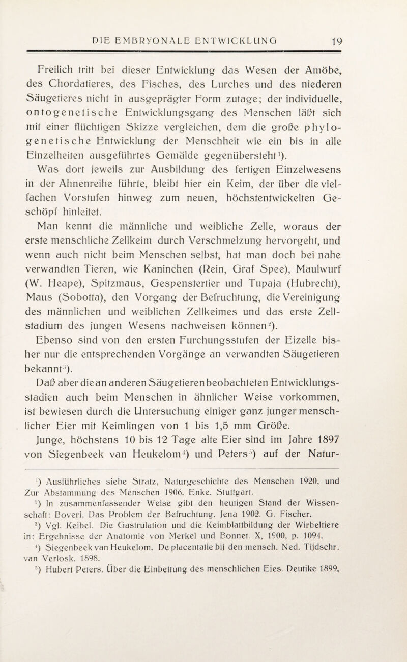 Freilich tritt bei dieser Entwicklung das Wesen der Amöbe, des Chordatieres, des Fisches, des Lurches und des niederen Säugetieres nicht in ausgeprägter Form zutage; der individuelle, on togenetische Entwicklungsgang des Menschen läßt sich mit einer flüchtigen Skizze vergleichen, dem die große phylo¬ genetische Entwicklung der Menschheit wie ein bis in alle Einzelheiten ausgeführtes Gemälde gegenüberstehtx). Was dort jeweils zur Ausbildung des fertigen Einzelwesens in der Ahnenreihe führte, bleibt hier ein Keim, der über die viel¬ fachen Vorstufen hinweg zum neuen, höchstentwickelten Ge¬ schöpf hinleitet. Man kennt die männliche und weibliche Zelle, woraus der erste menschliche Zellkeim durch Verschmelzung hervorgeht, und wenn auch nicht beim Menschen selbst, hat man doch bei nahe verwandten Tieren, wie Kaninchen (Rein, Graf Spee), Maulwurf (W. Heape), Spitzmaus, Gespenstertier und Tupaja (Hubrecht), Maus (Sobotta), den Vorgang der Befruchtung, die Vereinigung des männlichen und weiblichen Zellkeimes und das erste Zell¬ stadium des jungen Wesens nachweisen können2). Ebenso sind von den ersten Furchungsstufen der Eizelle bis¬ her nur die entsprechenden Vorgänge an verwandten Säugetieren bekannt). Daß aberdiean anderen Säugetieren beobachteten Entwicklungs¬ stadien auch beim Menschen in ähnlicher Weise Vorkommen, ist bewiesen durch die Untersuchung einiger ganz junger mensch¬ licher Eier mit Keimlingen von 1 bis 1,5 mm Größe. Junge, höchstens 10 bis 12 Tage alte Eier sind im Jahre 1897 von Siegenbeek van Heukelom4) und Peters5) auf der Natur- ‘) Ausführliches siehe Stratz, Naturgeschichte des Menschen 1920, und Zur Abstammung des Menschen 1906. Enke, Stuttgart. 2) ln zusammenfassender Weise gibt den heutigen Stand der Wissen¬ schaft: Boveri, Das Problem der Befruchtung. Jena 1902. G. Fischer. 3) Vgl. Keibel. Die Gastrulation und die Keimblattbildung der Wirbeltiere in: Ergebnisse der Anatomie von Merkel und Eonnet. X, 1900, p. 1094. ■*) Siegenbeek van Heukelom. De placentatie bij den mensch. Ned. Tijdschr. van Verlosk. 1898. 5) Hubert Peters. Über die Einbettung des menschlichen Eies. Deutike 1899.