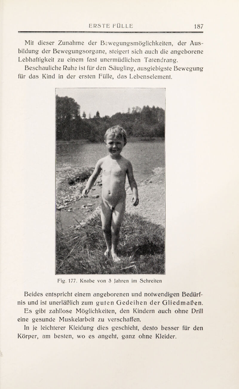 Mil dieser Zunahme der Bswegungsmöglichkeiten, der Aus¬ bildung der Bewegungsorgane, steigert sich auch die angeborene Lebhaftigkeit zu einem fast unermüdlichen Talendrang. Beschauliche Ruhe ist für den Säugling, ausgiebigste Bewegung für das Kind in der ersten Fülle, das Lebenselement. Fig. 177. Knabe von 5 Jahren im Schreiten Beides entspricht einem angeborenen und notwendigen Bedürf¬ nis und ist unerläßlich zum guten Gedeihen der Gliedmaßen. Es gibt zahllose Möglichkeiten, den Kindern auch ohne Drill eine gesunde Muskelarbeit zu verschaffen. In je leichterer Kleidung dies geschieht, desto besser für den Körper, am besten, wo es angeht, ganz ohne Kleider.