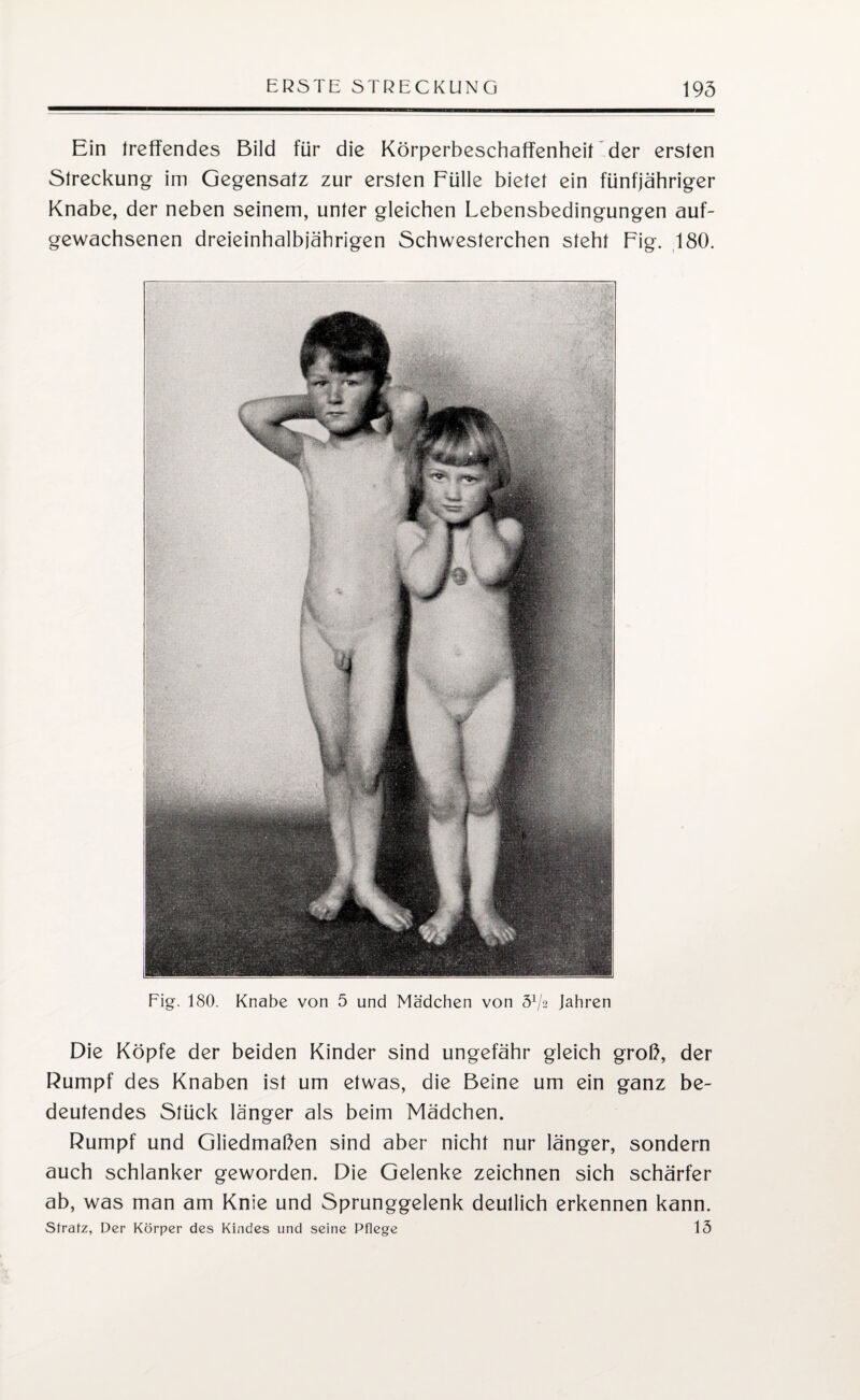 Ein treffendes Bild für die Körperbeschaffenheit der ersten Streckung im Gegensatz zur ersten Fülle bietet ein fünfjähriger Knabe, der neben seinem, unter gleichen Lebensbedingungen auf- gewachsenen dreieinhalbjährigen Schwesterchen steht Fig. 180. Fig. 180. Knabe von 5 und Mädchen von Jahren Die Köpfe der beiden Kinder sind ungefähr gleich groß, der Rumpf des Knaben ist um etwas, die Beine um ein ganz be¬ deutendes Stück länger als beim Mädchen. Rumpf und Gliedmaßen sind aber nicht nur länger, sondern auch schlanker geworden. Die Gelenke zeichnen sich schärfer ab, was man am Knie und Sprunggelenk deutlich erkennen kann.