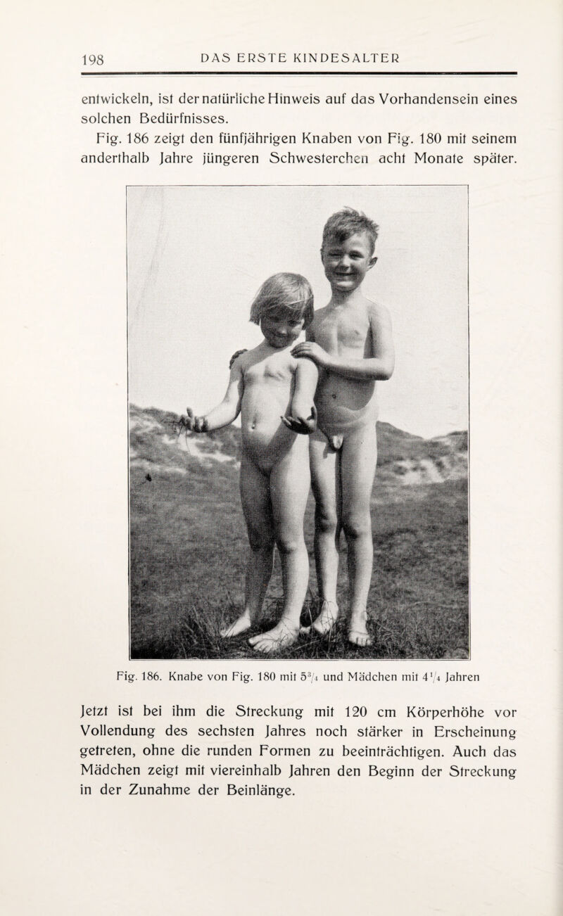 entwickeln, ist der natürliche Hinweis auf das Vorhandensein eines solchen Bedürfnisses. Fig. 186 zeigt den fünfjährigen Knaben von Fig. 180 mit seinem anderthalb Jahre jüngeren Schwesterchen acht Monate später. 1 Fig. 186. Knabe von Fig. 180 mit 53/4 und Mädchen mit 4*/4 Jahren Jetzt ist bei ihm die Streckung mit 120 cm Körperhöhe vor Vollendung des sechsten Jahres noch stärker in Erscheinung getreten, ohne die runden Formen zu beeinträchtigen. Auch das Mädchen zeigt mit viereinhalb Jahren den Beginn der Streckung in der Zunahme der Beinlänge.