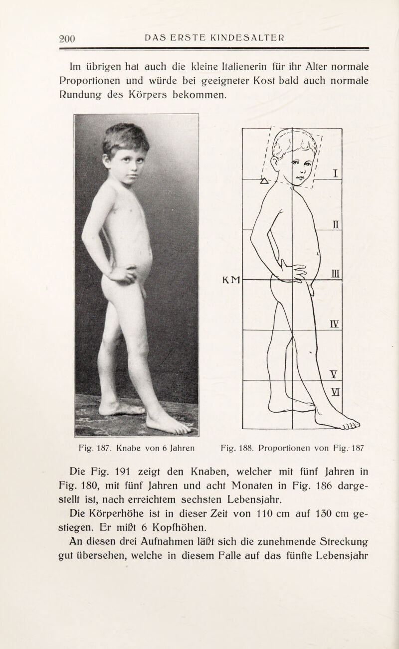 Im übrigen hal auch die kleine Italienerin für ihr Alter normale Proportionen und würde bei geeigneter Kost bald auch normale Rundung des Körpers bekommen. Fig. 187. Knabe von 6 Jahren Fig. 188. Proportionen von Fig. 187 Die Fig. 191 zeigt den Knaben, welcher mit fünf Jahren in Fig. 180, mit fünf Jahren und acht Monaten in Fig. 186 darge- stellt ist, nach erreichtem sechsten Lebensjahr. Die Körperhöhe ist in dieser Zeit von 110 cm auf 150 cm ge¬ stiegen. Er mißt 6 Kopfhöhen. An diesen drei Aufnahmen läßt sich die zunehmende Streckung gut übersehen, welche in diesem Falle auf das fünfte Lebensjahr