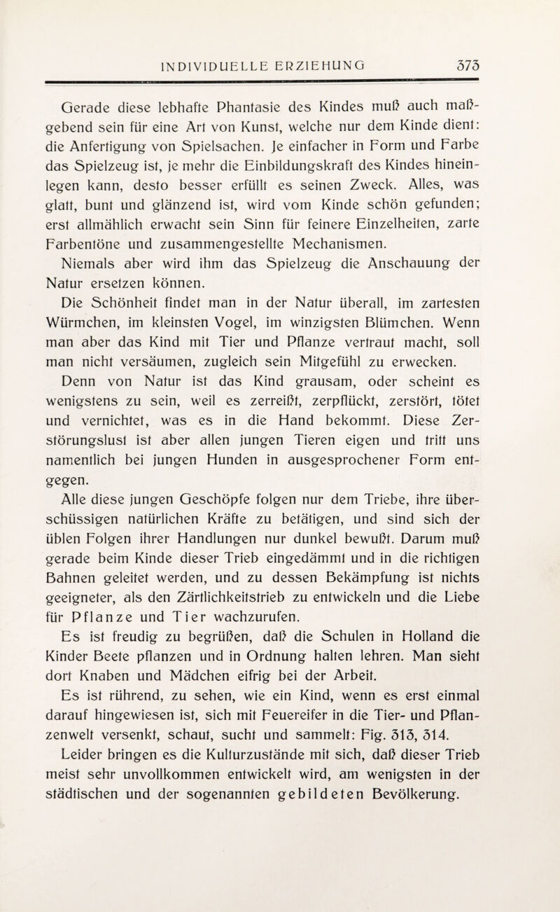Gerade diese lebhafte Phantasie des Kindes muß auch maß¬ gebend sein für eine Art von Kunst, welche nur dem Kinde dient: die Anfertigung von Spielsachen. Je einfacher in Form und Farbe das Spielzeug ist, je mehr die Einbildungskraft des Kindes hinein¬ legen kann, desto besser erfüllt es seinen Zweck. Alles, was glatt, bunt und glänzend ist, wird vom Kinde schön gefunden; erst allmählich erwacht sein Sinn für feinere Einzelheiten, zarte Farbentöne und zusammengestellte Mechanismen. Niemals aber wird ihm das Spielzeug die Anschauung der Natur ersetzen können. Die Schönheit findet man in der Natur überall, im zartesten Würmchen, im kleinsten Vogel, im winzigsten Blümchen. Wenn man aber das Kind mit Tier und Pflanze vertraut macht, soll man nicht versäumen, zugleich sein Mitgefühl zu erwecken. Denn von Natur ist das Kind grausam, oder scheint es wenigstens zu sein, weil es zerreißt, zerpflückt, zerstört, tötet und vernichtet, was es in die Fland bekommt. Diese Zer- störungslusl ist aber allen jungen Tieren eigen und tritt uns namentlich bei jungen Flunden in ausgesprochener Form ent- gegen. Alle diese jungen Geschöpfe folgen nur dem Triebe, ihre über¬ schüssigen natürlichen Kräfte zu betätigen, und sind sich der üblen Folgen ihrer Handlungen nur dunkel bewußt. Darum muß gerade beim Kinde dieser Trieb eingedämml und in die richtigen Bahnen geleitet werden, und zu dessen Bekämpfung ist nichts geeigneter, als den Zärtlichkeitstrieb zu entwickeln und die Liebe für Pflanze und Tier wachzurufen. Es ist freudig zu begrüßen, daß die Schulen in Holland die Kinder Beete pflanzen und in Ordnung halten lehren. Man sieht dort Knaben und Mädchen eifrig bei der Arbeit. Es ist rührend, zu sehen, wie ein Kind, wenn es erst einmal darauf hingewiesen ist, sich mit Feuereifer in die Tier- und Pflan¬ zenwelt versenkt, schaut, sucht und sammelt: Fig. 313, 314. Leider bringen es die Kuliurzustände mit sich, daß dieser Trieb meist sehr unvollkommen entwickelt wird, am wenigsten in der städtischen und der sogenannten gebildeten Bevölkerung.