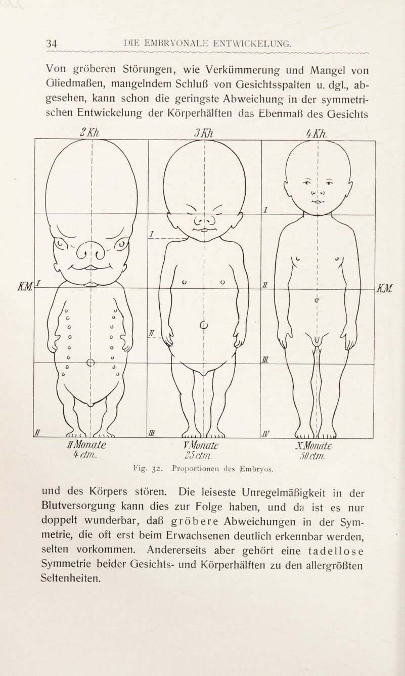 Von gröberen Störungen, wie Verkümmerung und Mangel von Gliedmaßen, mangelndem Schluß von Gesichtsspalten u. dgl., ab¬ gesehen, kann schon die geringste Abweichung in der symmetri¬ schen Entwickelung der Körperhälften das Ebenmaß des Gesichts Fig. 32. Proportionen des Embryos. und des Körpers stören. Die leiseste Unregelmäßigkeit in der Blutversorgung kann dies zur Folge haben, und da ist es nur doppelt wunderbar, daß gröbere Abweichungen in der Sym¬ metrie, die oft erst beim Erwachsenen deutlich erkennbar werden, selten Vorkommen. Andererseits aber gehört eine tadellose Symmetrie beider Gesichts- und Körperhälften zu den allergrößten Seltenheiten.