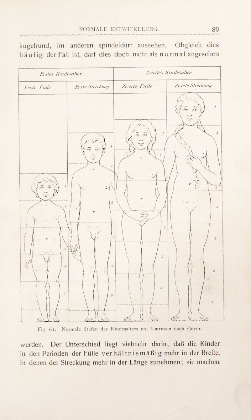 kugelrund, im anderen spindeldürr aussehen. Obgleich dies häufig der Fall ist, darf dies doch nicht als normal angesehen Fig. 61. Normale Stufen des Kindesalters mit Umrissen nach Geyer. werden. Der Unterschied liegt vielmehr darin, daß die Kinder in den Perioden der Fülle verhältnismäßig mehr in der Breite,, in denen der Streckung mehr in der Länge zunehmen; sie machen