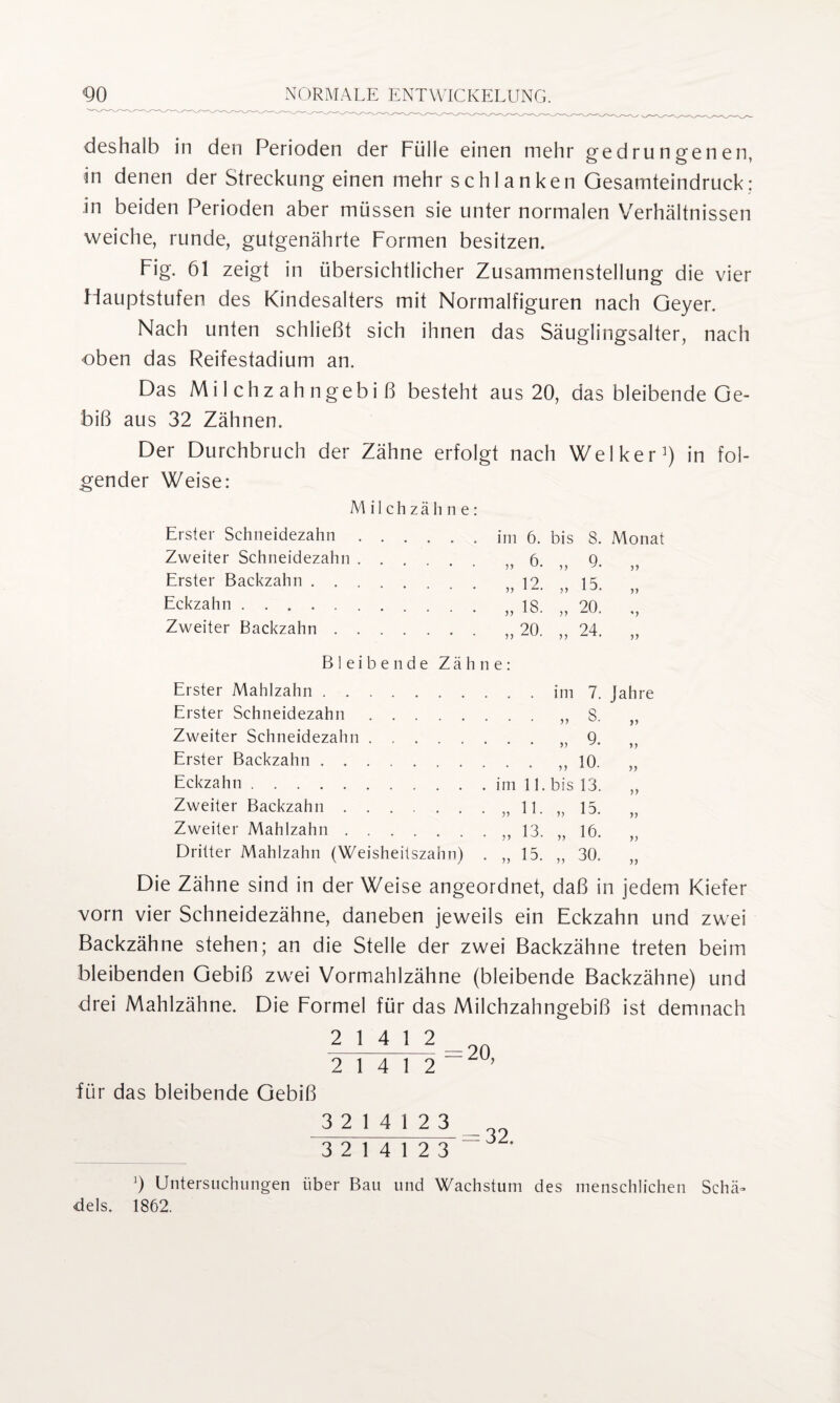 deshalb in den Perioden der Fülle einen mehr gedrungenen, in denen der Streckung einen mehr schlanken Gesamteindruck: in beiden Perioden aber müssen sie unter normalen Verhältnissen weiche, runde, gutgenährte Formen besitzen. Fig. 61 zeigt in übersichtlicher Zusammenstellung die vier Hauptstufen des Kindesalters mit Normalfiguren nach Geyer. Nach unten schließt sich ihnen das Säuglingsalter, nach oben das Reifestadium an. Das Milchzahngebiß besteht aus 20, das bleibende Ge¬ biß aus 32 Zähnen. Der Durchbruch der Zähne erfolgt nach Welker1) in fol¬ gender Weise: M i 1 c h z ä h n e : Erster Schneidezahn.im 6. bis 8. Monat Zweiter Schneidezahn ... 6 q Erster Backzahn. i? iS Eckzahn. . is 20 Zweiter Backzahn.„ 20. ,, 24. „ Bleibende Zähne: Erster Mahlzahn.im 7. Jahre Erster Schneidezahn.„8. „ Zweiter Schneidezahn.„9. Erster Backzahn.,,10. ,, Eckzahn.im 11. bis 13. „ Zweiter Backzahn.„ 11. „ 15. „ Zweiter Mahlzahn.13 16 Dritter Mahlzahn (Weisheitszahn) . „15. „ 30. „ Die Zähne sind in der Weise angeordnet, daß in jedem Kiefer vorn vier Schneidezähne, daneben jeweils ein Eckzahn und zwei Backzähne stehen; an die Stelle der zwei Backzähne treten beim bleibenden Gebiß zwei Vormahlzähne (bleibende Backzähne) und drei Mahlzähne. Die Formel für das Milchzahngebiß ist demnach 2141 2 =20 2 14 12 ’ für das bleibende Gebiß 3214123 3214123 ]) Untersuchungen über Bau und Wachstum des menschlichen Schä¬ dels. 1862.