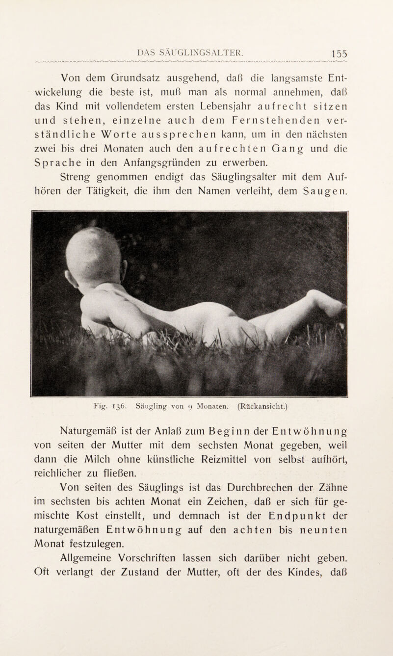 Von dem Grundsatz ausgehend, daß die langsamste Ent¬ wickelung die beste ist, muß man als normal annehmen, daß das Kind mit vollendetem ersten Lebensjahr aufrecht sitzen und stehen, einzelne auch dem Fernstehenden ver¬ ständliche Worte aussprechen kann, um in den nächsten zwei bis drei Monaten auch den aufrechten Gang und die Sprache in den Anfangsgründen zu erwerben. Streng genommen endigt das Säuglingsalter mit dem Auf¬ hören der Tätigkeit, die ihm den Namen verleiht, dem Saugen. Fig. 136. Säugling von 9 Monaten. (Rückansicht.) Naturgemäß ist der Anlaß zum Beginn der Entwöhnung von seiten der Mutter mit dem sechsten Monat gegeben, weil dann die Milch ohne künstliche Reizmittel von selbst aufhört, reichlicher zu fließen. Von seiten des Säuglings ist das Durchbrechen der Zähne im sechsten bis achten Monat ein Zeichen, daß er sich für ge¬ mischte Kost einstellt, und demnach ist der Endpunkt der naturgemäßen Entwöhnung auf den achten bis neunten Monat festzulegen. Allgemeine Vorschriften lassen sich darüber nicht geben. Oft verlangt der Zustand der Mutter, oft der des Kindes, daß