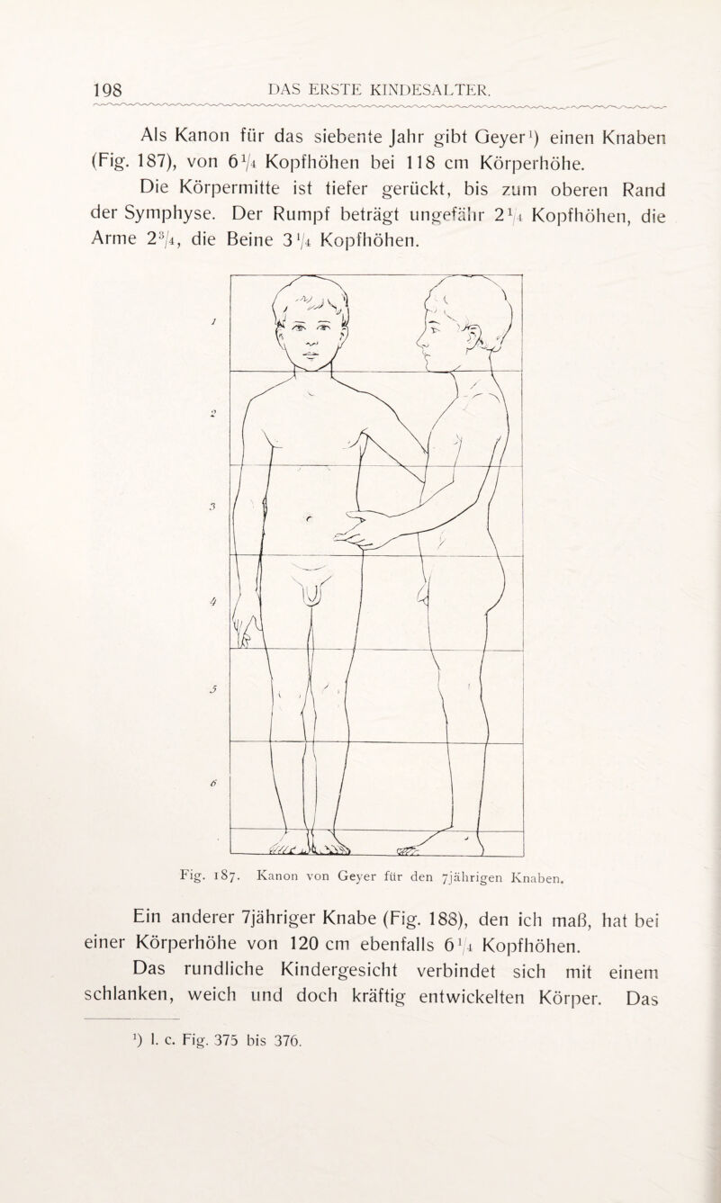 Als Kanon für das siebente Jahr gibt Geyer1) einen Knaben (Fig. 187), von 61/* Kopfhöhen bei 118 cm Körperhöhe. Die Körpermitte ist tiefer gerückt, bis zum oberen Rand der Symphyse. Der Rumpf beträgt ungefähr 21/4 Kopfhöhen, die Arme 2:;/4, die Beine 3l/4 Kopfhöhen. Fig. 187. Kanon von Geyer für den 7jährigen Knaben. Ein anderer 7jähriger Knabe (Fig. 188), den ich maß, hat bei einer Körperhöhe von 120 cm ebenfalls 61/,4 Kopfhöhen. Das rundliche Kindergesicht verbindet sich mit einem schlanken, weich und doch kräftig entwickelten Körper. Das 9 1. c. Fig. 375 bis 376.