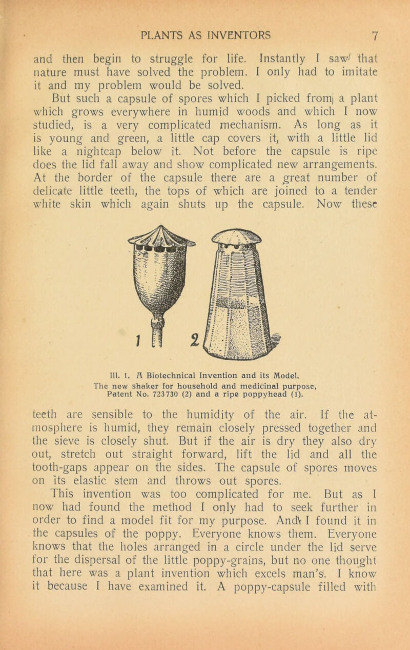 and then begin to struggle for life. Instantly I saw- that nature must have solved the problem. I only had to imitate it and my problem would be solved. But such a capsule of spores which I picked fromi a plant which grows everywhere in humid woods and which I now studied, is a very complicated mechanism. As long as it is young and green, a little cap covers it, with a little lid like a nightcap below it. Not before the capsule is ripe does the lid fall away and show complicated new arrangements. At the border of the capsule there are a great number of delicate little teeth, the tops of which are joined to a tender white skin which again shuts up the capsule. Now these 111. 1. R Biotechnical Invention and its Model. The new shaker for household and medicinal purpose, Patent No. 723730 (2) and a ripe poppyhead (1). teeth are sensible to the humidity of the air. If the at- mosphere is humid, they remain closely pressed together and the sieve is closely shut. But if the air is dry they also dry out, stretch out straight forward, lift the lid and all the tooth-gaps appear on the sides. The capsule of spores moves on its elastic stem and throws out spores. This invention was too complicated for me. But as I now had found the method I only had to seek further in order to find a model fit for my purpose. AndV I found it in the capsules of the poppy. Everyone knows them. Everyone knows that the holes arranged in a circle under the lid serve for the dispersal of the little poppy-grains, but no one thought that here was a plant invention which excels man's. I know it because I have examined it. A poppy-capsule filled with
