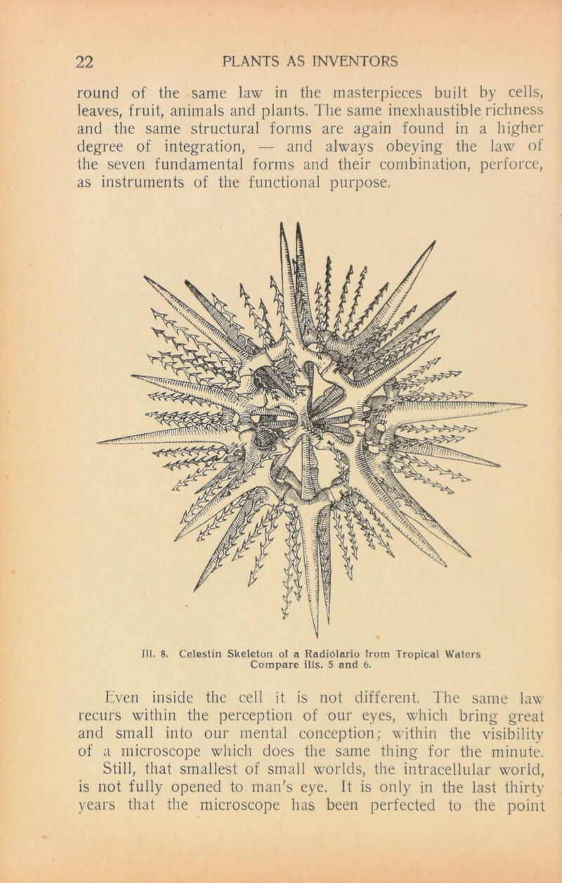 round of the same law in the masterpieces built by cells, leaves, fruit, animals and plants. The same inexhaustible richness and the same structural forms are again found in a higher degree of integration, — and always obeying the law of the seven fundamental forms and their combination, perforce, as instruments of the functional purpose. III. 8. Celestin Skeleton ol a Radiolario from Tropical Waters Compare ills. 5 and 6. Even inside the cell it is not different. The same law recurs within the perception of our eyes, which bring great and small into our mental conception; within the visibility of a microscope which does the same thing for the minute. Still, that smallest of small worlds, the intracellular world, is not fully opened to man's eye. It is only in the last thirty years that the microscope lias been perfected to the point