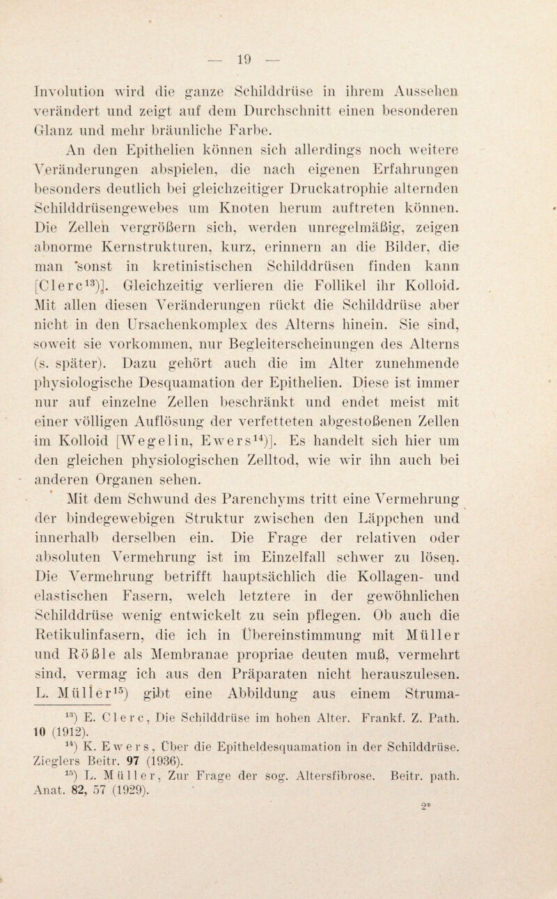 Involution wird die ganze Schilddrüse in ihrem Aussehen verändert und zeigt auf dem Durchschnitt einen besonderen Glanz und mehr bräunliche Farbe. An den Epithelien können sich allerdings noch weitere Veränderungen abspielen, die nach eigenen Erfahrungen besonders deutlich bei gleichzeitiger Druckatrophie alternden Schilddrüsengewebes um Knoten herum auftreten können. Die Zellen vergrößern sich, werden unregelmäßig, zeigen abnorme Kernstrukturen, kurz, erinnern an die Bilder, die man 'sonst in kretinistischen Schilddrüsen finden kann [Ciere13)]. Gleichzeitig verlieren die Follikel ihr Kolloid. Mit allen diesen Veränderungen rückt die Schilddrüse aber nicht in den Ursachenkomplex des Alterns hinein. Sie sind, soweit sie Vorkommen, nur Begleiterscheinungen des Alterns (s. später). Dazu gehört auch die im Alter zunehmende physiologische Desquamation der Epithelien. Diese ist immer nur auf einzelne Zellen beschränkt und endet meist mit einer völligen Auflösung der verfetteten abgestoßenen Zellen im Kolloid [Wegelin, Ewers14)]. Es handelt sich hier um den gleichen physiologischen Zelltod, wie wir ihn auch bei - anderen Organen sehen. Mit dem Schwund des Parenchyms tritt eine Vermehrung der bindegewebigen Struktur zwischen den Läppchen und innerhalb derselben ein. Die Frage der relativen oder absoluten Vermehrung ist im Einzelfall schwer zu lösen. Die Vermehrung betrifft hauptsächlich die Kollagen- und elastischen Fasern, welch letztere in der gewöhnlichen Schilddrüse wenig entwickelt zu sein pflegen. Ob auch die Retikulinfasern, die ich in Übereinstimmung mit Müller und Rößle als Membranae propriae deuten muß, vermehrt sind, vermag ich aus den Präparaten nicht herauszulesen. L. Müller15) gibt eine Abbildung aus einem Struma- 13) E. Giere, Die Schilddrüse im hohen Alter. Frankf. Z. Path. 10 (1912). 14) K. Ewers, Über die Epitheldesquamation in der Schilddrüse. Zieglers Beitr. 97 (1936). 15) E. Müller, Zur Frage der sog. Altersfibrose. Beitr. path. Anat, 82, 57 (1929).