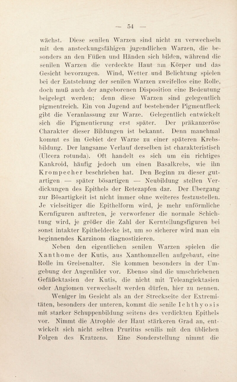 wächst. Diese senilen Warzen sind nicht zu verwechseln mit den ansteckungsfähigen jugendlichen Warzen, die be¬ sonders an den Füßen und Händen sich bilden, während die senilen Warzen die verdeckte Haut am Körper und das Gesicht bevorzugen. Wind, Wetter und Belichtung spielen bei der Entstehung der senilen Warzen zweifellos eine Rolle, doch muß auch der angeborenen Disposition eine Bedeutung beigelegt werden; denn diese Warzen sind gelegentlich pigmentreich. Ein von Jugend auf bestehender Pigmentfleck gibt die Veranlassung zur Warze. Gelegentlich entwickelt sich die Pigmentierung erst später. Der präkanzeröse Charakter dieser Bildungen ist bekannt. Denn manchmal kommt es im Gebiet der Warze zu einer späteren Krebs¬ bildung. Der langsame Verlauf derselben ist charakteristisch (Ulcera rotunda). Oft handelt es sich um ein richtiges Kankroid, häufig jedoch um einen Basalkrebs, wTie ihn Krompecher beschrieben hat. Den Beginn zu dieser gut¬ artigen —- später bösartigen — Neubildung stellen Ver¬ dickungen des Epithels der Retezapfen dar. Der Übergang zur Bösartigkeit ist nicht immer ohne weiteres festzustellen. Je vielseitiger die Epithel form wird, je mehr unförmliche Kernfiguren auftreten, je verworfener die normale Schich¬ tung wird, je größer die Zahl der Kernteilungsfiguren bei sonst intakter Epitheldecke ist, um so sicherer wird man ein beginnendes Karzinom diagnostizieren. Neben den eigentlichen senilen Warzen spielen die Xanthome der Kutis, aus Xanthomzellen aufgebaut, eine Rolle im Greisenalter. Sie kommen besonders in der Um¬ gebung der Augenlider vor. Ebenso sind die umschriebenen Gefäßektasien der Kutis, die nicht mit Teleangiektasien oder Angiomen verwechselt werden dürfen, hier zu nennen. Weniger im Gesicht als an der Streckseite der Extremi¬ täten, besonders der unteren, kommt die senile Ichthyosis mit starker Schuppenbildung seitens des verdickten Epithels vor. Nimmt die Atrophie der Haut stärkeren Grad an, ent¬ wickelt sich nicht selten Pruritus senilis mit den üblichen Folgen des Kratzens. Eine Sonderstellung nimmt die