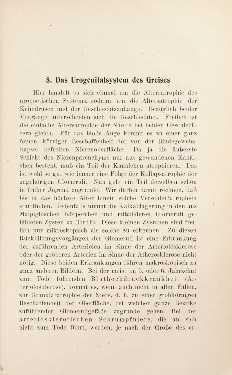 8. Das Urogenitalsystem des Greises Hier handelt es sich einmal um die Altersatrophie des uropoetischen Systems, sodann um die Altersatrophie der Keimdrüsen und der Geschlechtsanhänge. Bezüglich beider Vorgänge unterscheiden sich die Geschlechter. Freilich ist die einfache Altersatrophie der Niere bei beiden Geschlech¬ tern gleich. Für das bloße Auge kommt es zu einer ganz feinen, körnigen Beschaffenheit der von der Bindegewebs- kapsel befreiten Nierenoberfläche. Da ja die äußerste Schicht des Nierenparenchyms nur aus gewundenen Kanäl¬ chen besteht, muß ein Teil der Kanälchen atrophieren. Das ist wohl so gut wie immer eine Folge der Kollapsatrophie der zugehörigen Glomeruli. Nun geht ein Teil derselben schon in früher Jugend zugrunde. Wir dürfen damit rechnen, daß bis in das höchste Alter hinein solche Verschleißatrophien stattfinden. Jedenfalls nimmt die Kalkablagerung in den aus Malpighischen Körperchen und mißbildeten Glomeruli ge¬ bildeten Zysten zu (Orth). Diese kleinen Zystchen sind frei¬ lich nur mikroskopisch als solche zu erkennen. Zu* diesen RückbildungsVorgängen der Glomeruli ist eine Erkrankung der zuführenden Arteriolen im Sinne der Arteriolosklerose oder der gröberen Arterien im Sinne der Atherosklerose nicht nötig. Diese beiden Erkrankungen führen makroskopisch zu ganz anderen Bildern. Bei der meist im 5. oder 6, Jahrzehnt zum Tode führenden Bluthochdruckkrankheit (Ar¬ teriolosklerose), kommt es, wenn auch nicht in allen Fällen, zur Granularatrophie der Niere, d. h. zu einer grobkörnigen Beschaffenheit der Oberfläche, bei welcher ganze Bezirke zuführender Glomeruligefäße zugrunde gehen. Bei der arteriosklerotischen Schrumpf nie re, die an sich nicht zum Tode führt, werden, je nach der Größe des er-