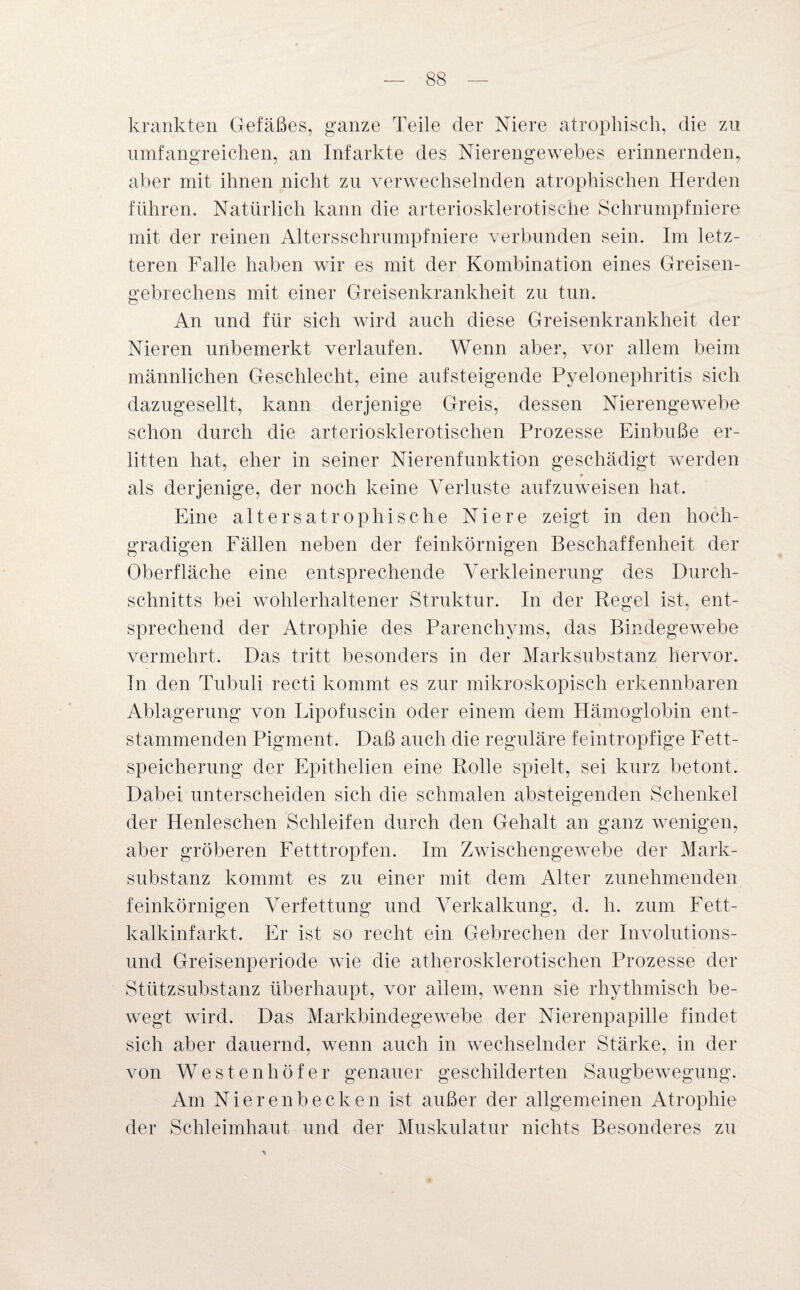krankten Gefäßes, ganze Teile der Niere atrophisch, die zu umfangreichen, an Infarkte des Nierengewebes erinnernden, aber mit ihnen nicht zu verwechselnden atrophischen Herden führen. Natürlich kann die arteriosklerotische Schrumpfniere mit der reinen Altersschrumpf niere verbunden sein. Im letz¬ teren Falle haben wir es mit der Kombination eines Greisen- gebrechens mit einer Greisenkrankheit zu tun. An und für sich wird auch diese Greisenkrankheit der Nieren unbemerkt verlaufen. Wenn aber, vor allem beim männlichen Geschlecht, eine aufsteigende Pyelonephritis sich dazugesellt, kann derjenige Greis, dessen Nierengewebe schon durch die arteriosklerotischen Prozesse Einbuße er¬ litten hat, eher in seiner Nierenfunktion geschädigt werden als derjenige, der noch keine Verluste aufzuweisen hat. Eine alters atrophische Niere zeigt in den hoch¬ gradigen Fällen neben der feinkörnigen Beschaffenheit der Oberfläche eine entsprechende Verkleinerung des Durch¬ schnitts bei wohlerhaltener Struktur. In der Regel ist. ent¬ sprechend der Atrophie des Parenchyms, das Bindegewebe vermehrt. Das tritt besonders in der Marksubstanz hervor. In den Tubuli recti kommt es zur mikroskopisch erkennbaren Ablagerung von Lipofuscin oder einem dem Hämoglobin ent¬ stammenden Pigment. Daß auch die reguläre feintropfige Fett¬ speicherung der Epithelien eine Rolle spielt, sei kurz betont. Dabei unterscheiden sich die schmalen absteigenden Schenkel der Henleschen Schleifen durch den Gehalt an ganz wenigen, aber gröberen Fetttropfen. Im Zwischengewebe der Mark¬ substanz kommt es zu einer mit dem Alter zunehmenden feinkörnigen Verfettung und Verkalkung, d. h. zum Fett- kalkinfarkt. Er ist so recht ein Gebrechen der Involutions¬ und Greisenperiode wie die atherosklerotischen Prozesse der Stützsubstanz überhaupt, vor allem, wenn sie rhythmisch be¬ wegt wird. Das Markbindegewebe der Nierenpapille findet sich aber dauernd, wenn auch in wechselnder Stärke, in der von Westenhöf er genauer geschilderten Saugbewegung. Am Nierenbecken ist außer der allgemeinen Atrophie der Schleimhaut und der Muskulatur nichts Besonderes zu