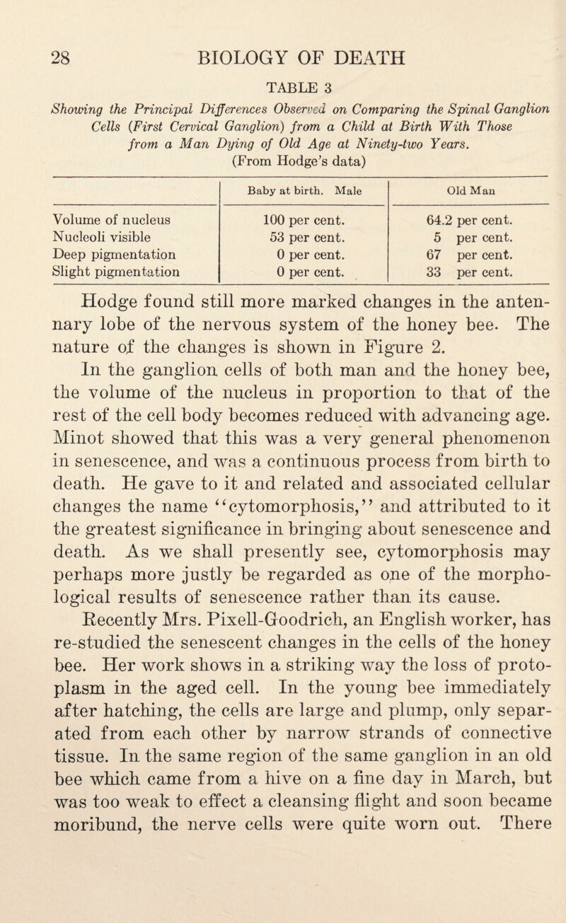 TABLE 3 Showing the Principal Differences Observed on Comparing the Spinal Ganglion Cells (First Cervical Ganglion) from a Child at Birth With Those from a Man Dying of Old Age at Ninety-two Years. (From Hodge’s data) Baby at birth. Male Old Man Volume of nucleus 100 per cent. 64.2 per cent. Nucleoli visible 53 per cent. 5 per cent. Deep pigmentation 0 per cent. 67 per cent. Slight pigmentation 0 per cent. 33 per cent. Hodge found still more marked changes in the anten- nary lobe of the nervous system of the honey bee. The nature of the changes is shown in Figure 2. In the ganglion cells of both man and the honey bee, the volume of the nucleus in proportion to that of the rest of the cell body becomes reduced with advancing age. Minot showed that this was a very general phenomenon in senescence, and was a continuous process from birth to death. He gave to it and related and associated cellular changes the name “cytomorphosis,” and attributed to it the greatest significance in bringing about senescence and death. As we shall presently see, cytomorphosis may perhaps more justly be regarded as one of the morpho¬ logical results of senescence rather than its cause. Eecently Mrs. Pixell-Goodrich, an English worker, has re-studied the senescent changes in the cells of the honey bee. Her work shows in a striking way the loss of proto¬ plasm in the aged cell. In the young bee immediately after hatching, the cells are large and plump, only separ¬ ated from each other by narrow strands of connective tissue. In the same region of the same ganglion in an old bee which came from a hive on a fine day in March, but was too weak to effect a cleansing flight and soon became moribund, the nerve cells were quite worn out. There