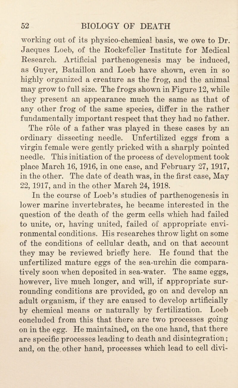 working out of its physico-chemical basis, we owe to Dr. Jacques Loeb, of the Rockefeller Institute for Medical Research. Artificial parthenogenesis may be induced, as Guyer, Bataillon and Loeb have shown, even in so highly organized a creature as the frog, and the animal may grow to full size. The frogs shown in Figure 12, while they present an appearance much the same as that of any other frog of the same species, differ in the rather fundamentally important respect that they had no father. The role of a father was played in these cases by an ordinary dissecting needle. Unfertilized eggs from a virgin female were gently pricked with a sharply pointed needle. This initiation of the process of development took place March 16, 1916, in one case, and February 27, 1917, in the other. The date of death was, in the first case, May 22, 1917, and in the other March 24, 1918. In the course of Loeb’s studies of parthenogenesis in lower marine invertebrates, he became interested in the question of the death of the germ cells which had failed to unite, or, having united, failed of appropriate envi¬ ronmental conditions. His researches throw light on some of the conditions of cellular death, and on that account they may be reviewed briefly here. He found that the unfertilized mature eggs of the sea-urchin die compara¬ tively soon when deposited in sea-water. The same eggs, however, live much longer, and will, if appropriate sur¬ rounding conditions are provided, go on and develop an adult organism, if they are caused to develop artificially by chemical means or naturally by fertilization. Loeb concluded from this that there are two processes going on in the egg. He maintained, on the one hand, that there are specific processes leading to death and disintegration; and, on the other hand, processes which lead to cell divi-