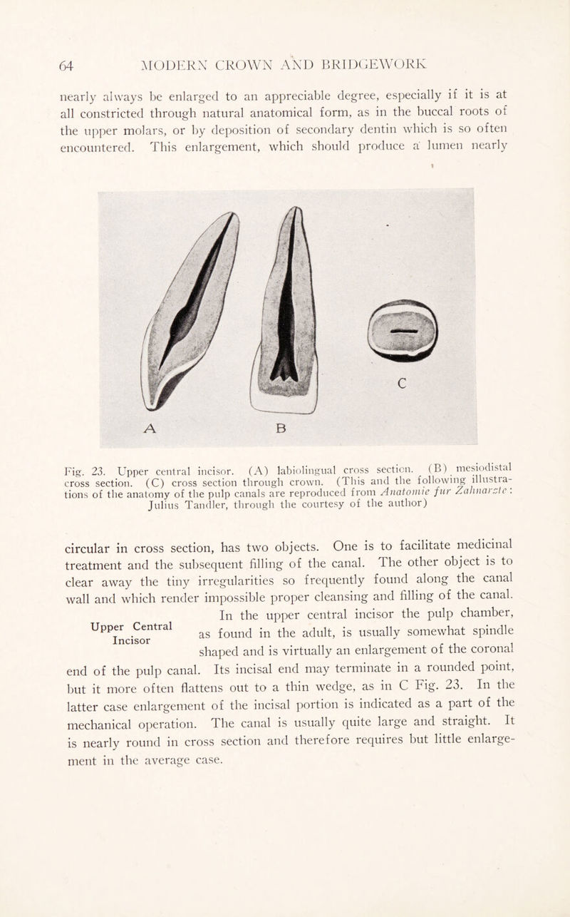 nearly always be enlarged to an appreciable degree, especially if it is at all constricted through natural anatomical form, as in the buccal roots of the upper molars, or by deposition of secondary dentin which is so often encountered. This enlargement, which should produce a lumen nearly Fig. 23. Upper central incisor. (A) labiolingual cross section. (B) mesiodistal cross section. (C) cross section through crown. (This and the following ulustia- tions of the anatomy of the pulp canals are reproduced from Anatomic fur Zalinai Ac . Julius Tandler, through the courtesy of the author) circular in cross section, has two objects. One is to facilitate medicinal treatment and the subsequent filling of the canal. The other object is to clear away the tiny irregularities so frequently found along the canal wall and which render impossible proper cleansing and filling of the canal. In the upper central incisor the pulp chamber, as found in the adult, is usually somewhat spindle shaped and is virtually an enlargement of the coronal end of the pulp canal. Its incisal end may terminate in a rounded point, but it more often flattens out to a thin wedge, as in C Fig. 23. In the Upper Central Incisor latter case enlargement of the incisal portion is indicated as a part of the mechanical operation. The canal is usually quite large and straight. It is nearly round m cross section and there foie requires but little enlarge¬ ment in the average case.